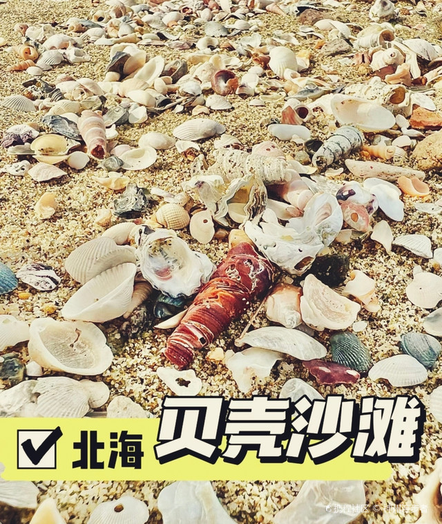 沙滩之王,软绵无比,宁静胜境,探寻完美休闲天堂|打卡北海贝壳沙滩