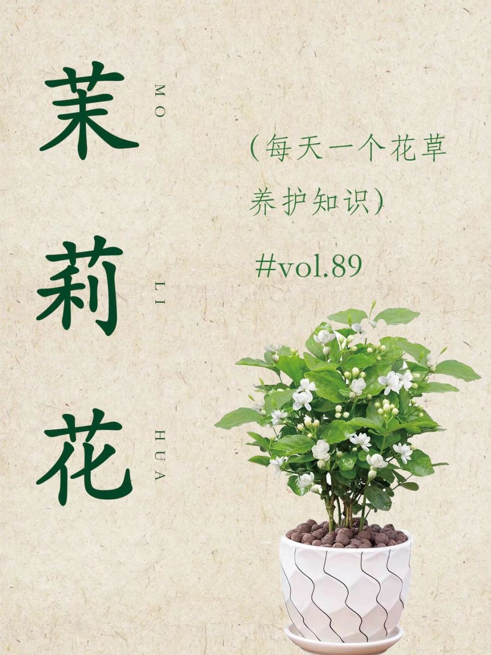 茉莉花的花语为纯洁的爱,坚贞的爱情,很多国家将茉莉花作为爱情之花.