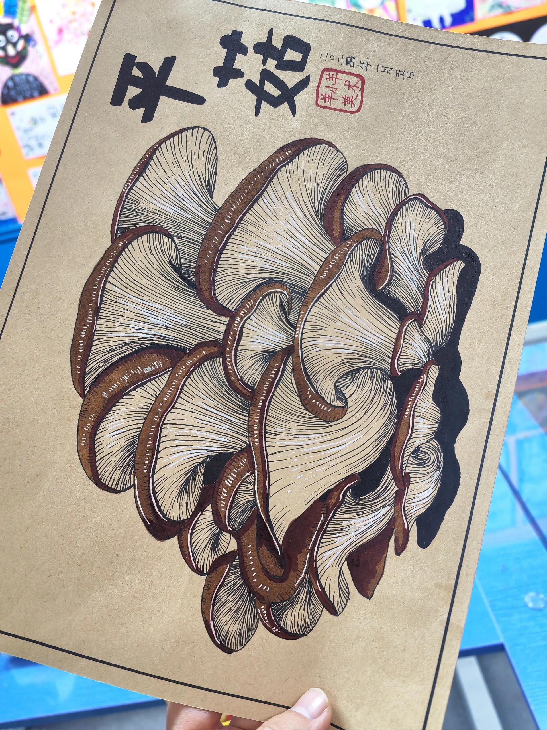 平菇线描写生(素材图左滑)