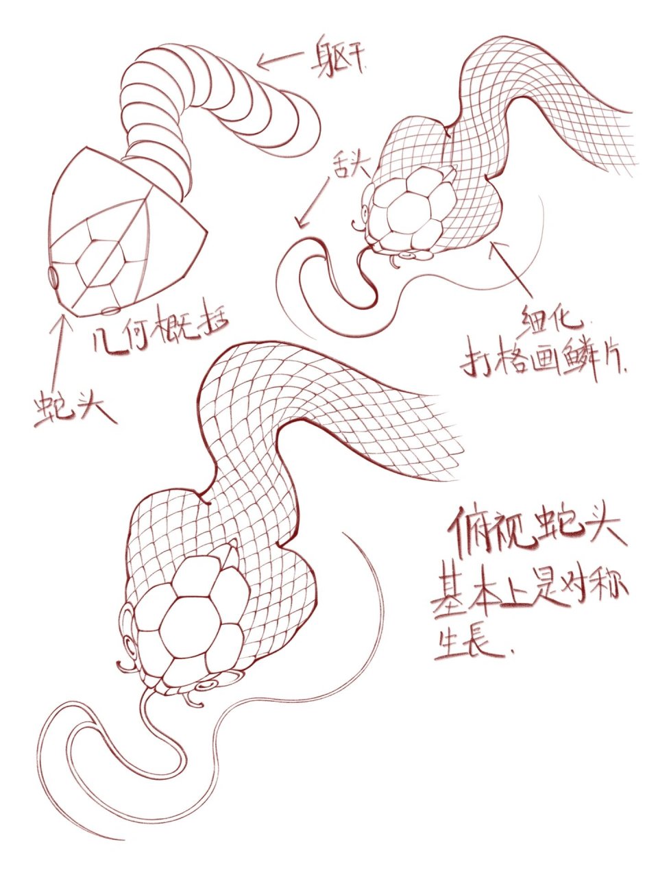 新传统纹身教程 蛇头合集 新传统风格纹身 新传统蛇头合集 点赞收藏加