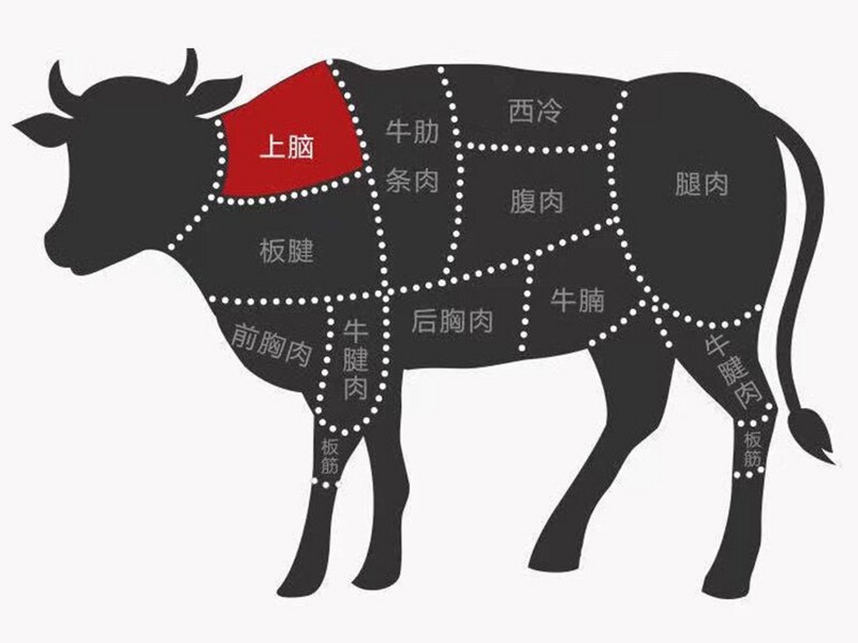 【牛上脑】到底是哪个部位❓ 牛上脑是位于肩颈部靠后,脊骨两侧的