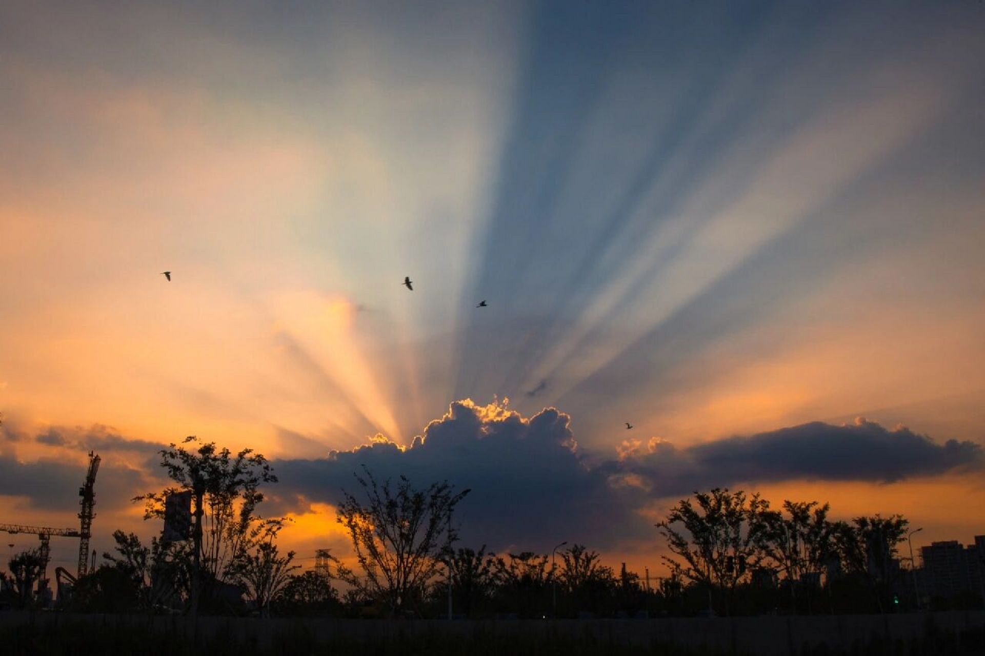 日落时分,我拍到了光的形状‖丁达尔效应 当丁达尔效应出现时,光就有