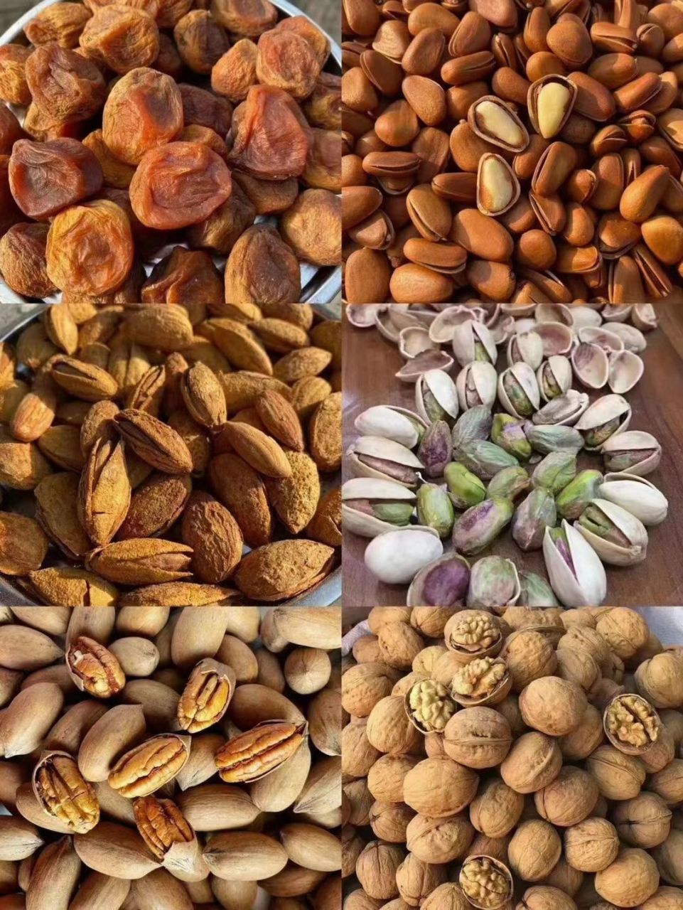 新疆各种干果特产