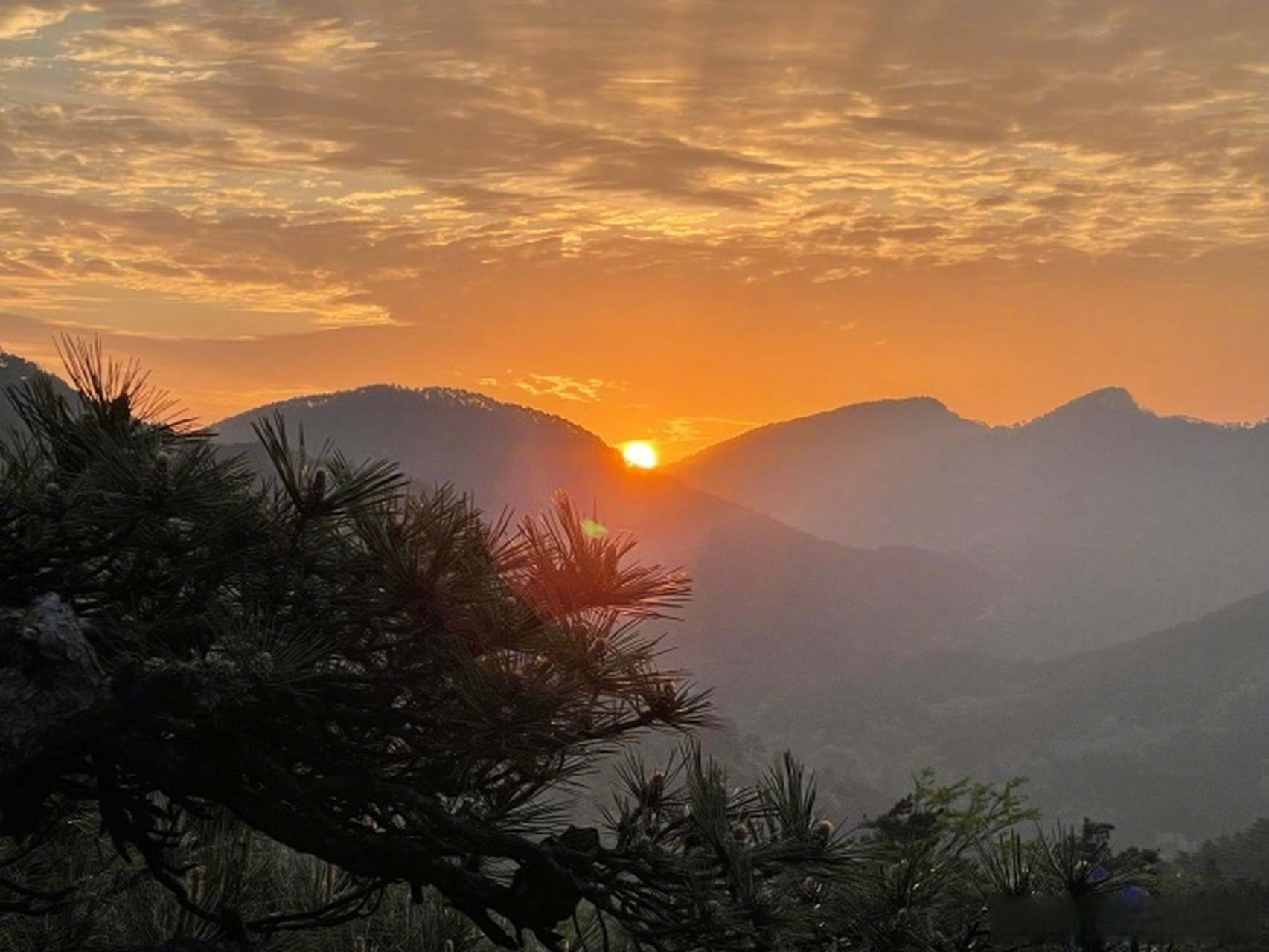 四季竟然如此美好 今日份壁纸来了~庐山含鄱口日出拍摄:李钦  #新时代