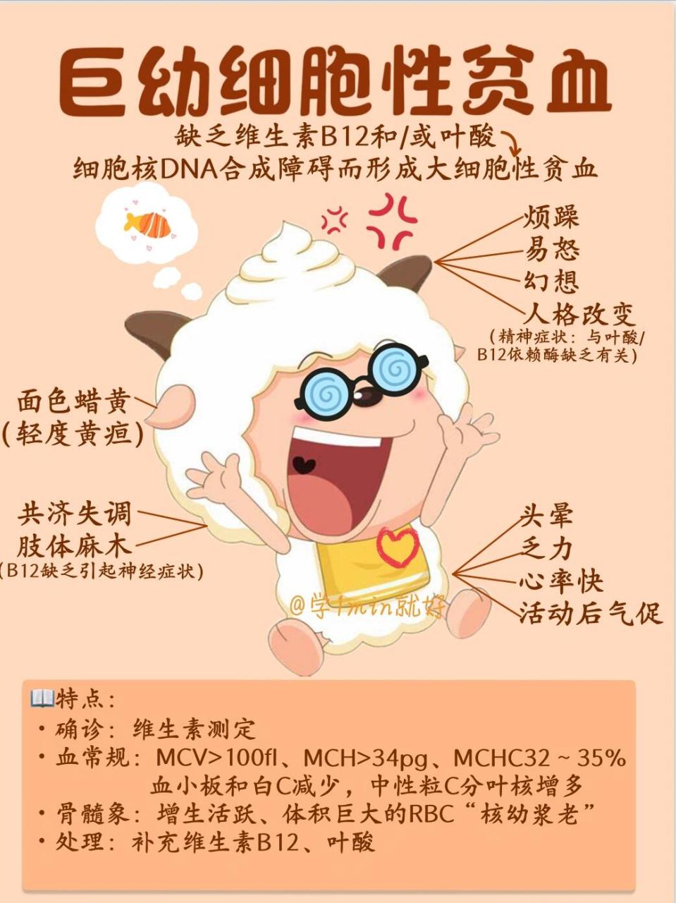 医学生笔记|巨幼细胞贫血表现🔆 ⚠️注意: 🔆b12缺乏➡