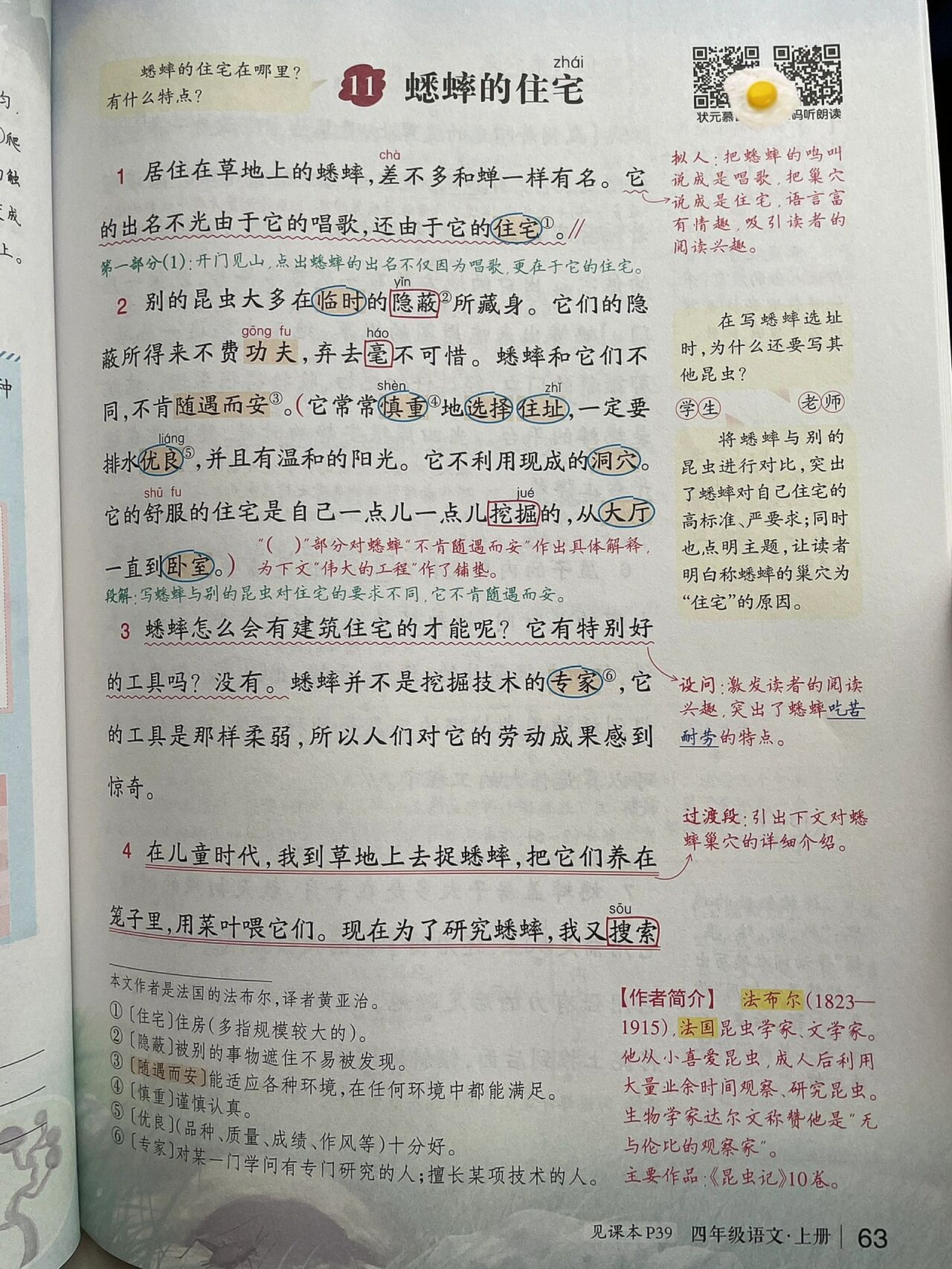 蟋蟀的住宅重点笔记图片