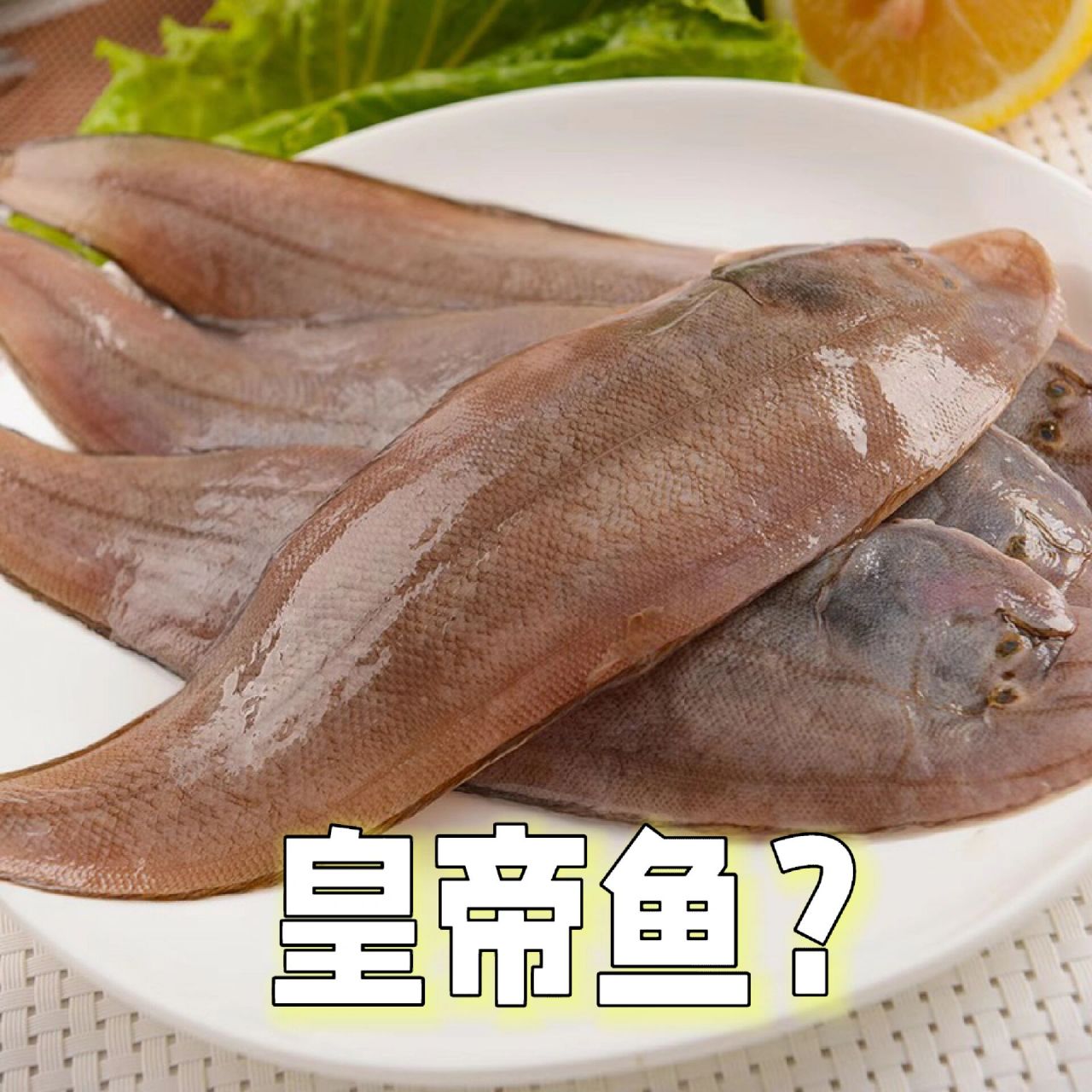 舌头鱼是我国常见的海鱼,蝶形目的一种,也就是比目鱼的一种.