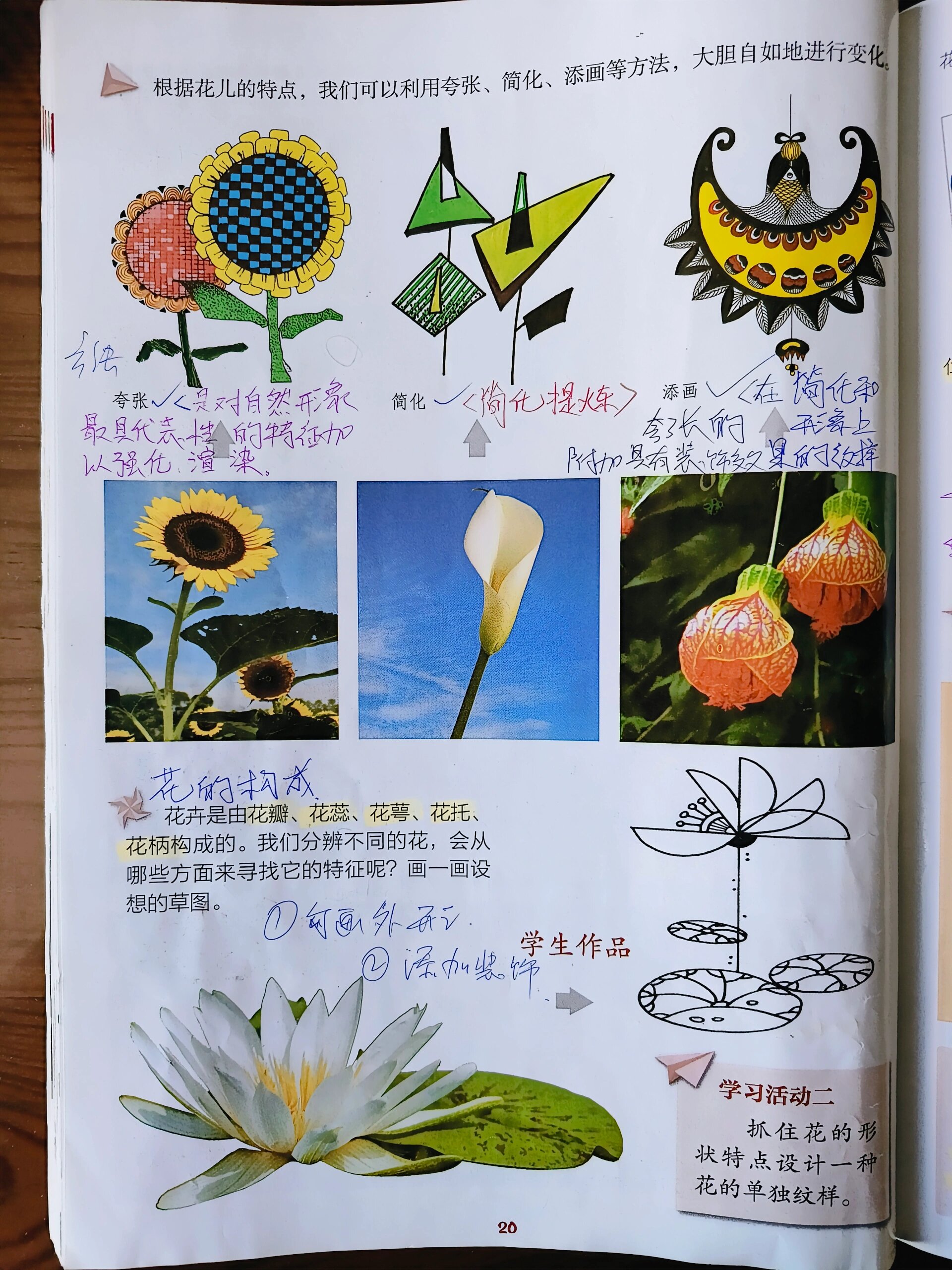 湘美版四年级上册《花儿朵朵》书案