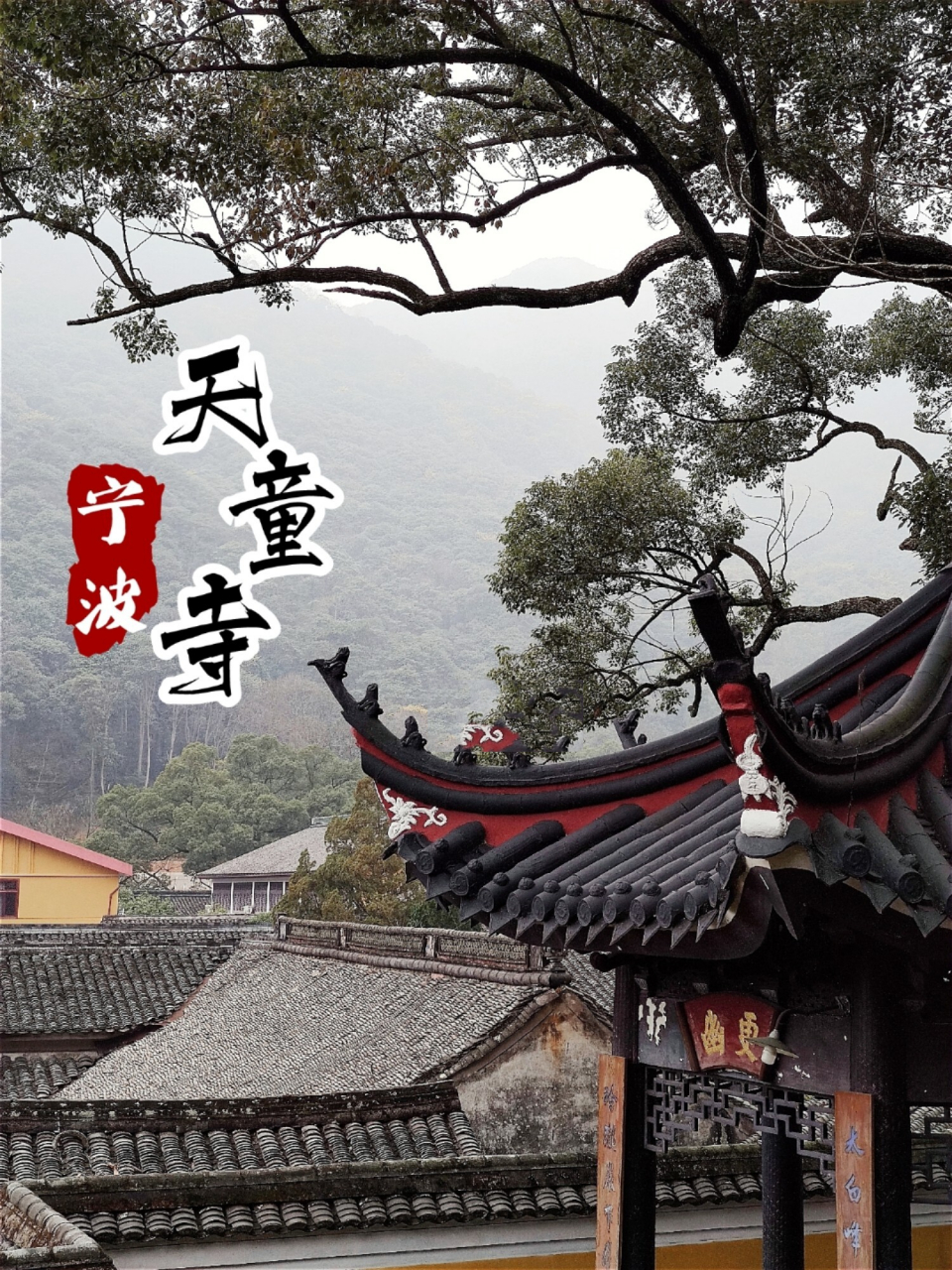 90 73tips 97宁波天童禅寺 99门票 所有人免费 90 06