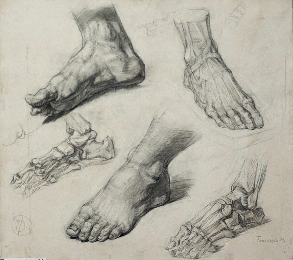 素描基础干货 手脚肌肉解剖练习|艺术分享