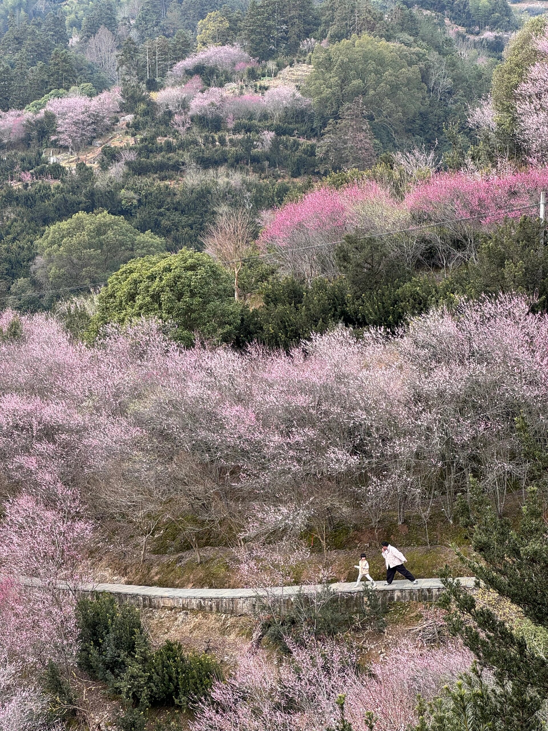 诗里的柳暗花明又一村