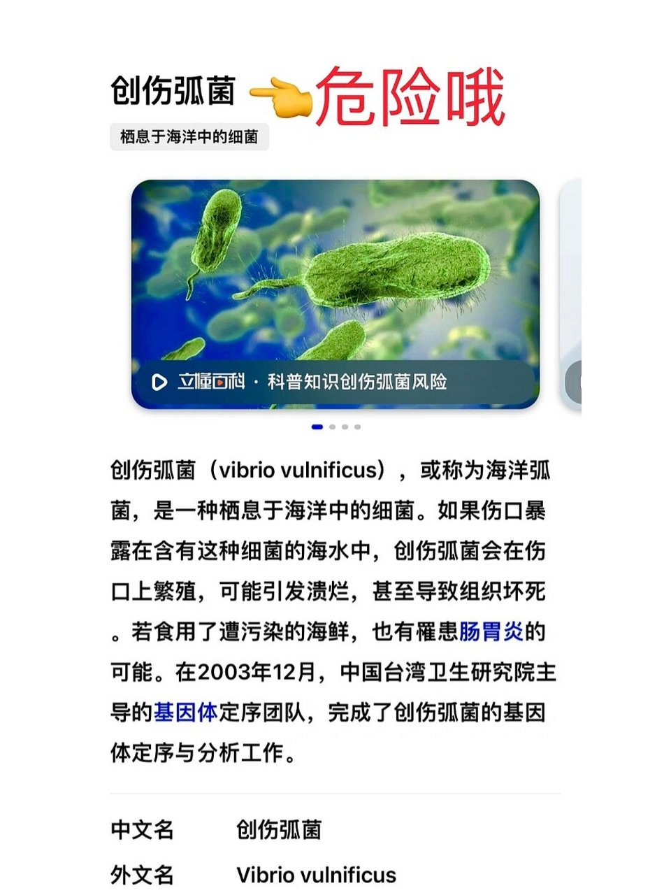 海洋致命细菌图片