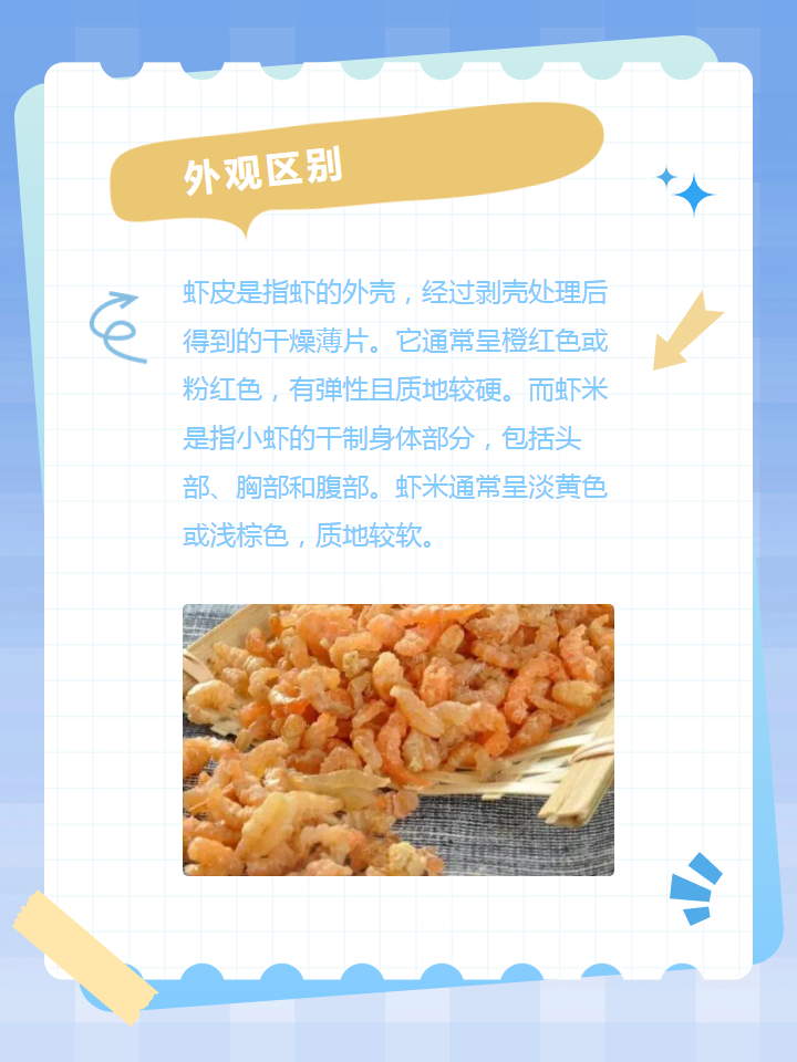 虾米和虾皮有什么区别图片