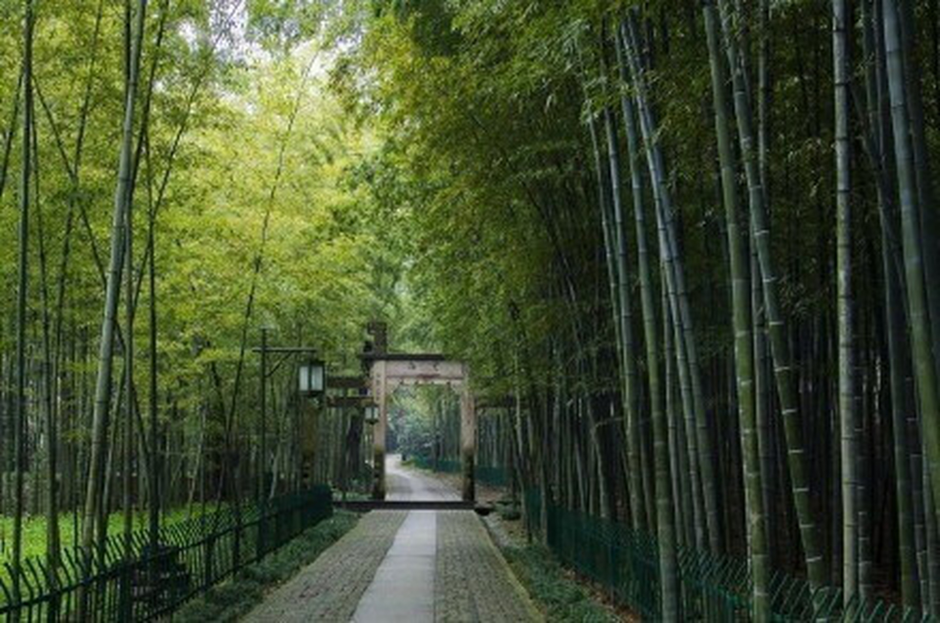 是杭州"新西湖十景"中难得的一处万千茂竹,叮咚溪泉的幽静地点,竹林