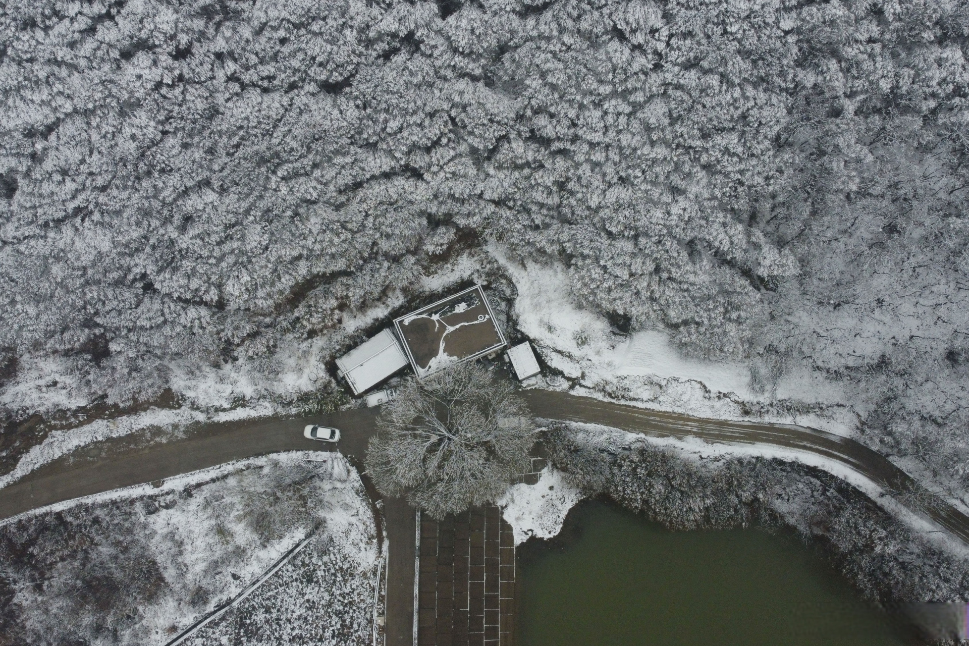 2月8日晚,宝丰县出现降雪天气,雪后的观音堂林业生态旅游示范区美如画