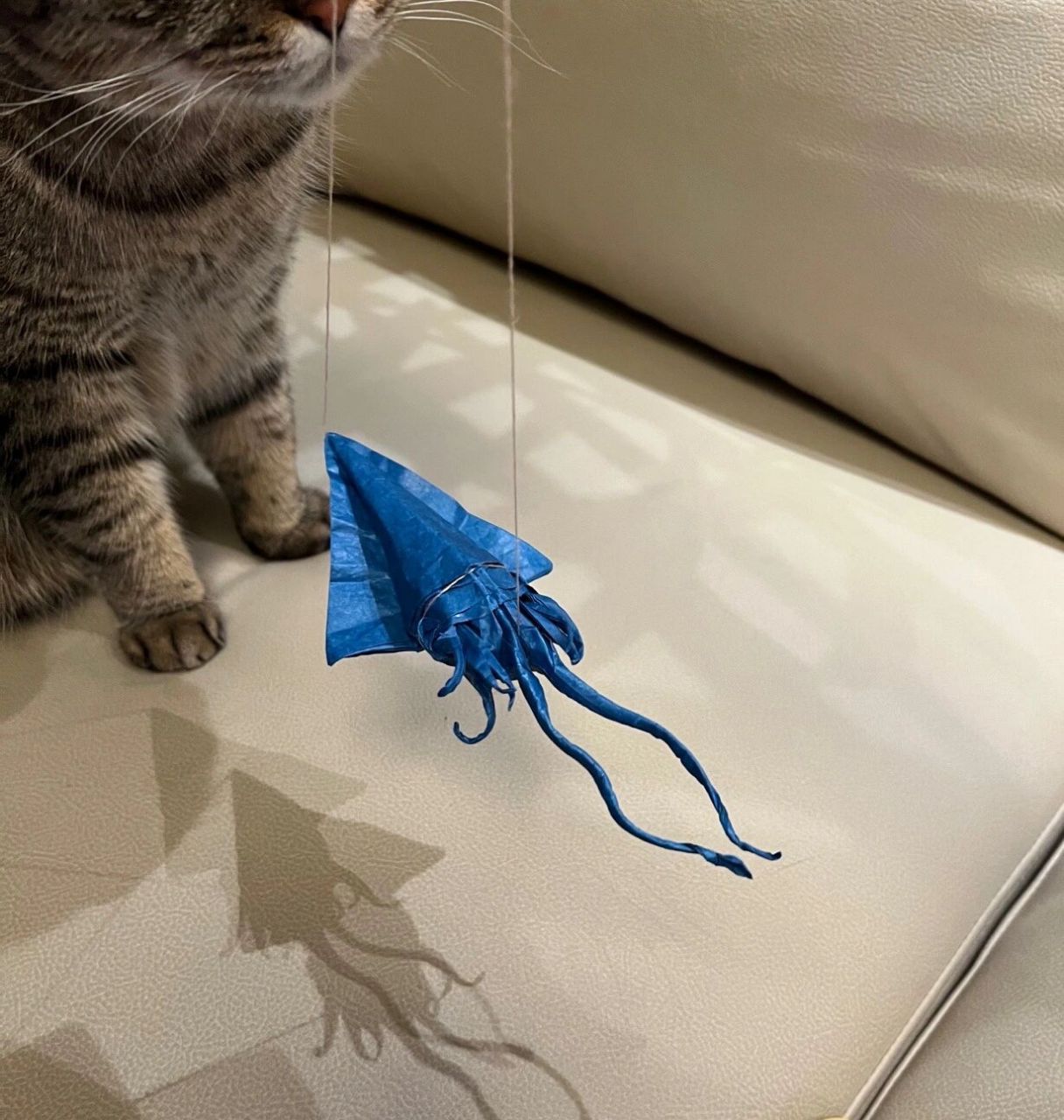 夏日限定折纸之大王乌贼!