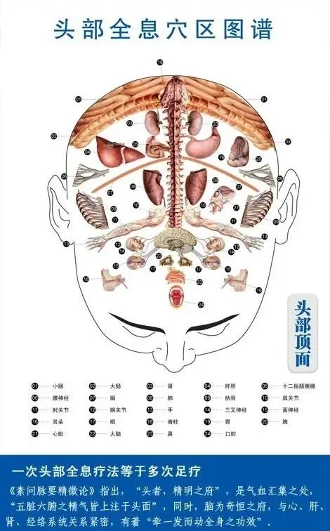 头部反射图解大全解说图片