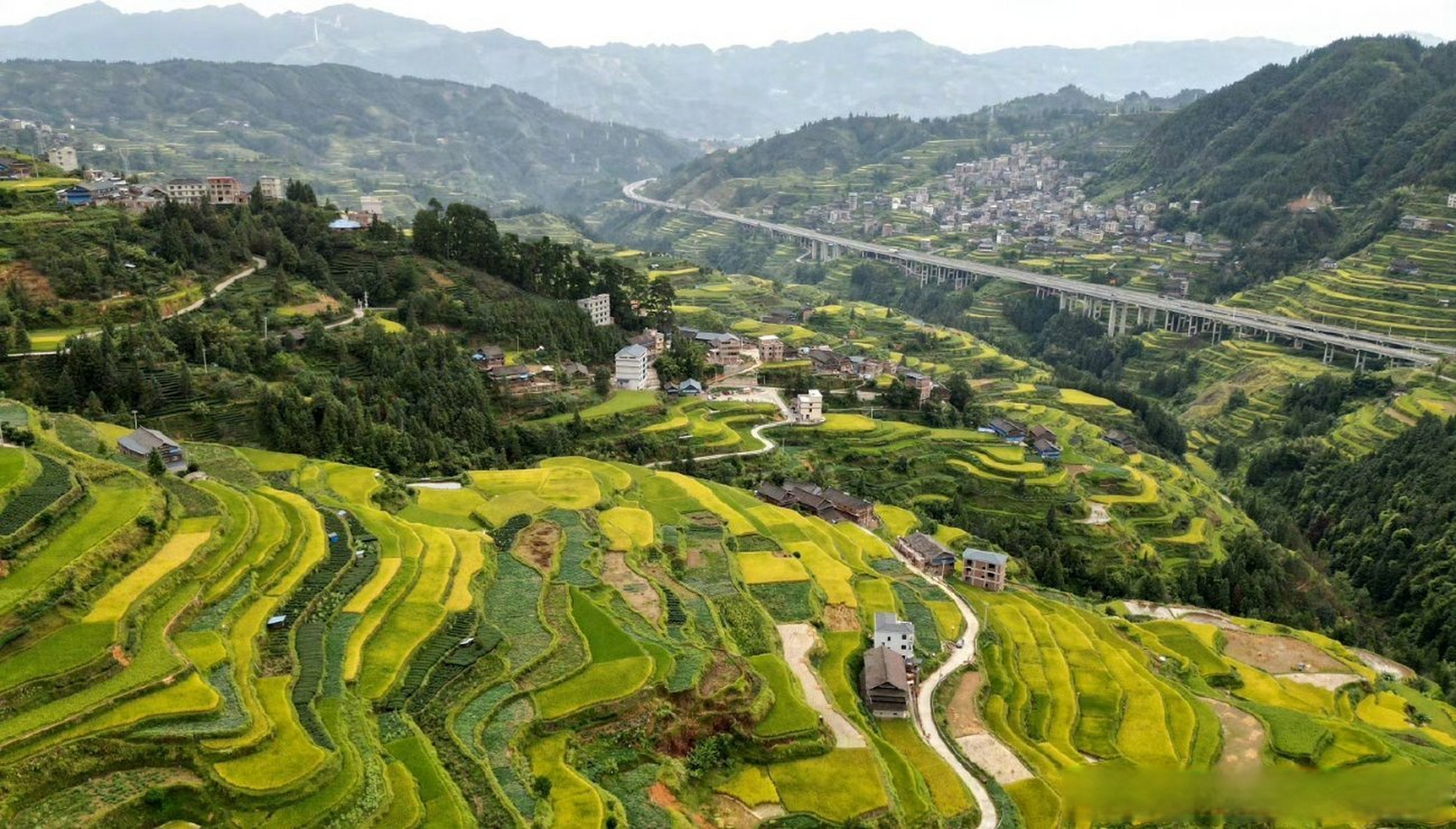 南小团##广西梯田一眼治愈强迫症# 秋色正浓,广西三江县独峒镇的高山
