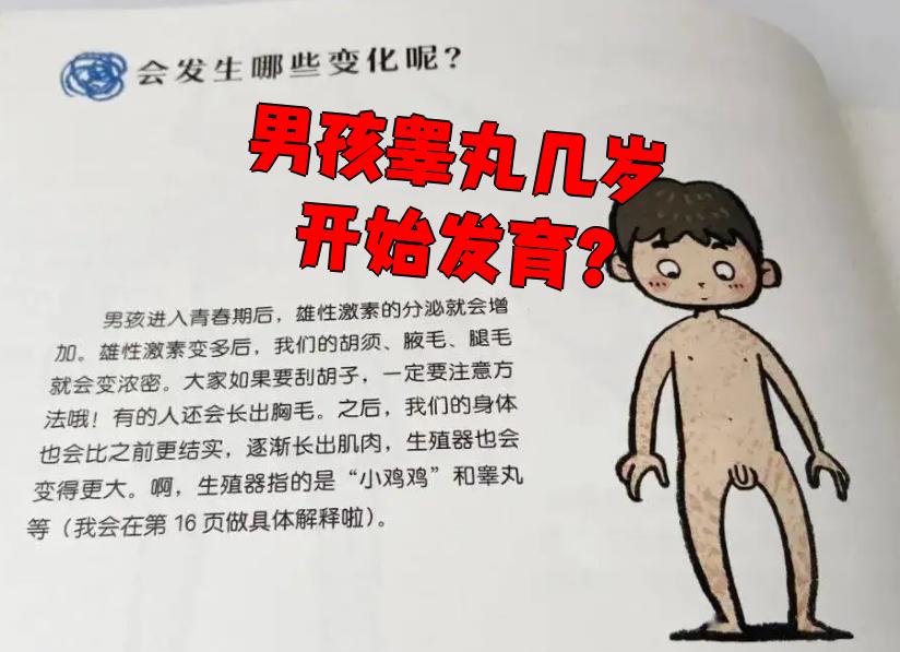 男孩的睾丸通常在11~13岁开始发育.这个阶段标志着青春期的启动