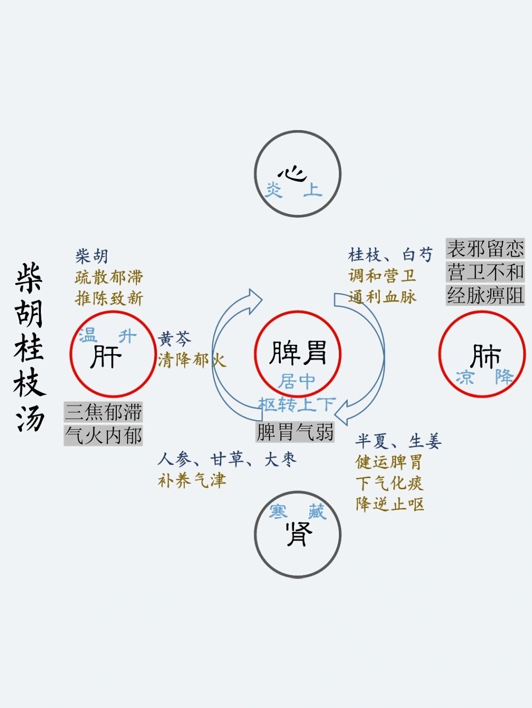 外台柴胡桂枝汤图片