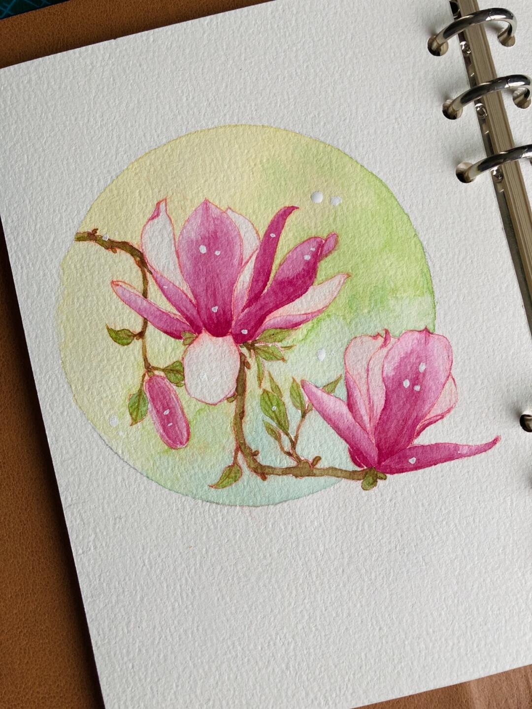 零基础水彩花卉入门 玉兰花