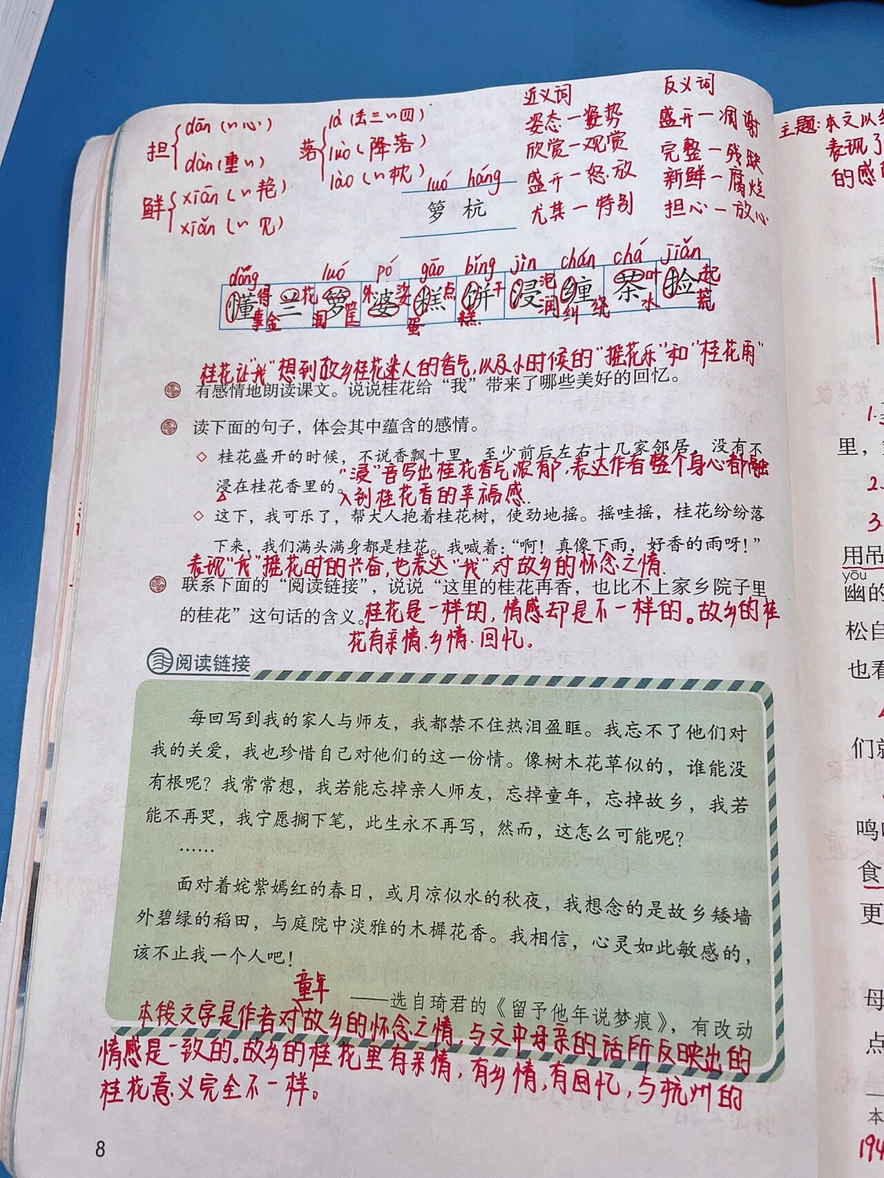 部编版五上 3《桂花雨》课堂笔记
