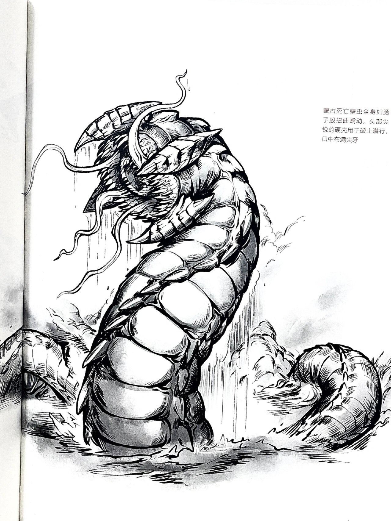 明媚爬行,蒙古死亡蠕虫9993神秘生物图鉴