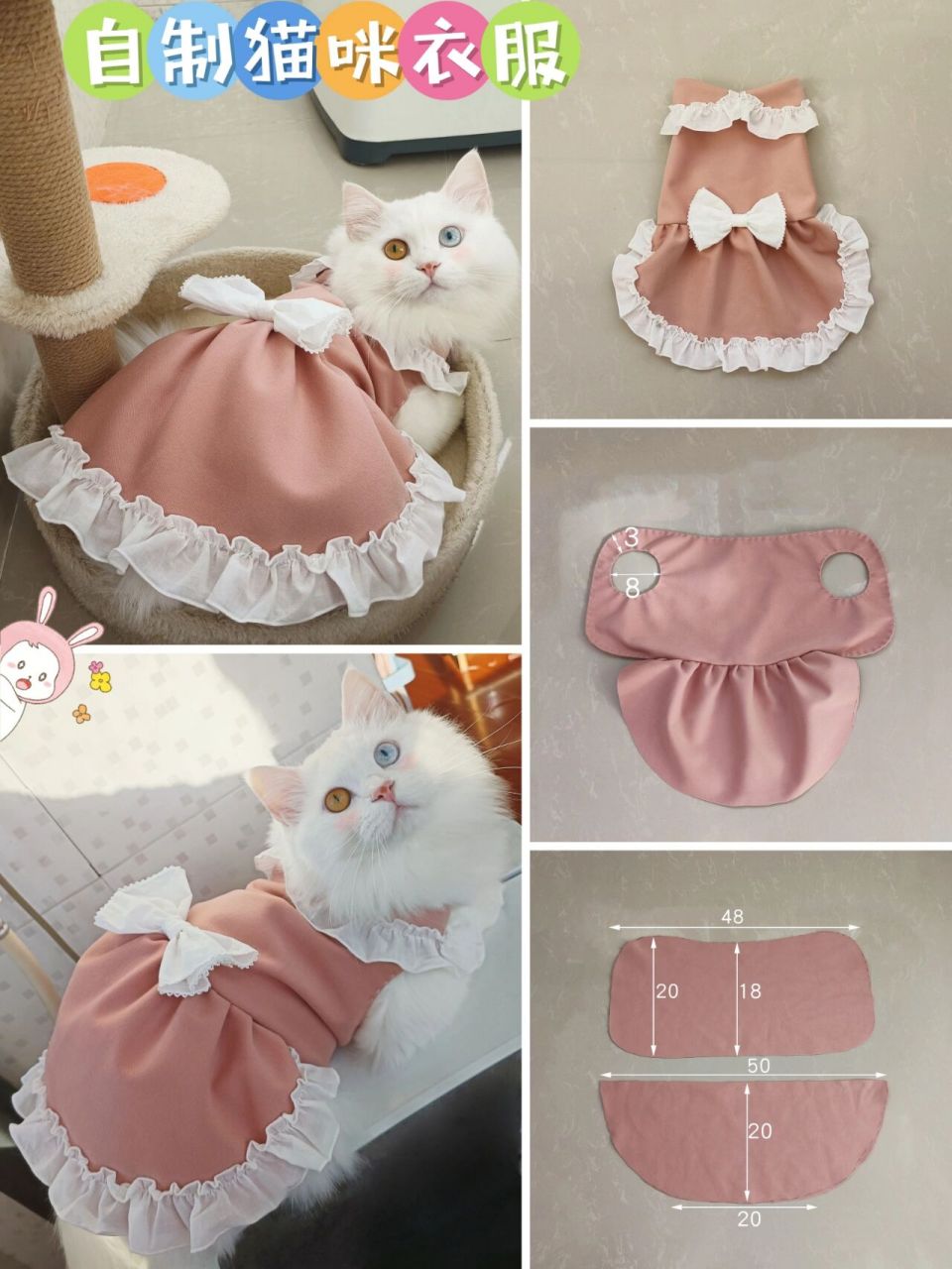 自制猫咪衣服75谁能拒绝穿裙子的小猫咪呢 不装了 不装了 我们就是