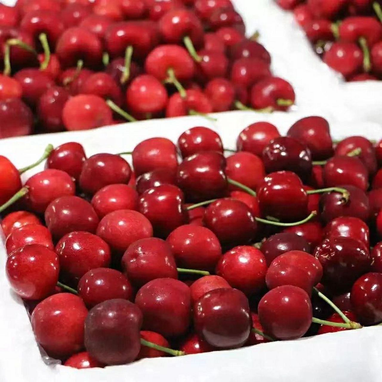 宝子们一定来尝尝我们甘肃天水的大樱桃 自家果园,爸妈种了一辈子水果