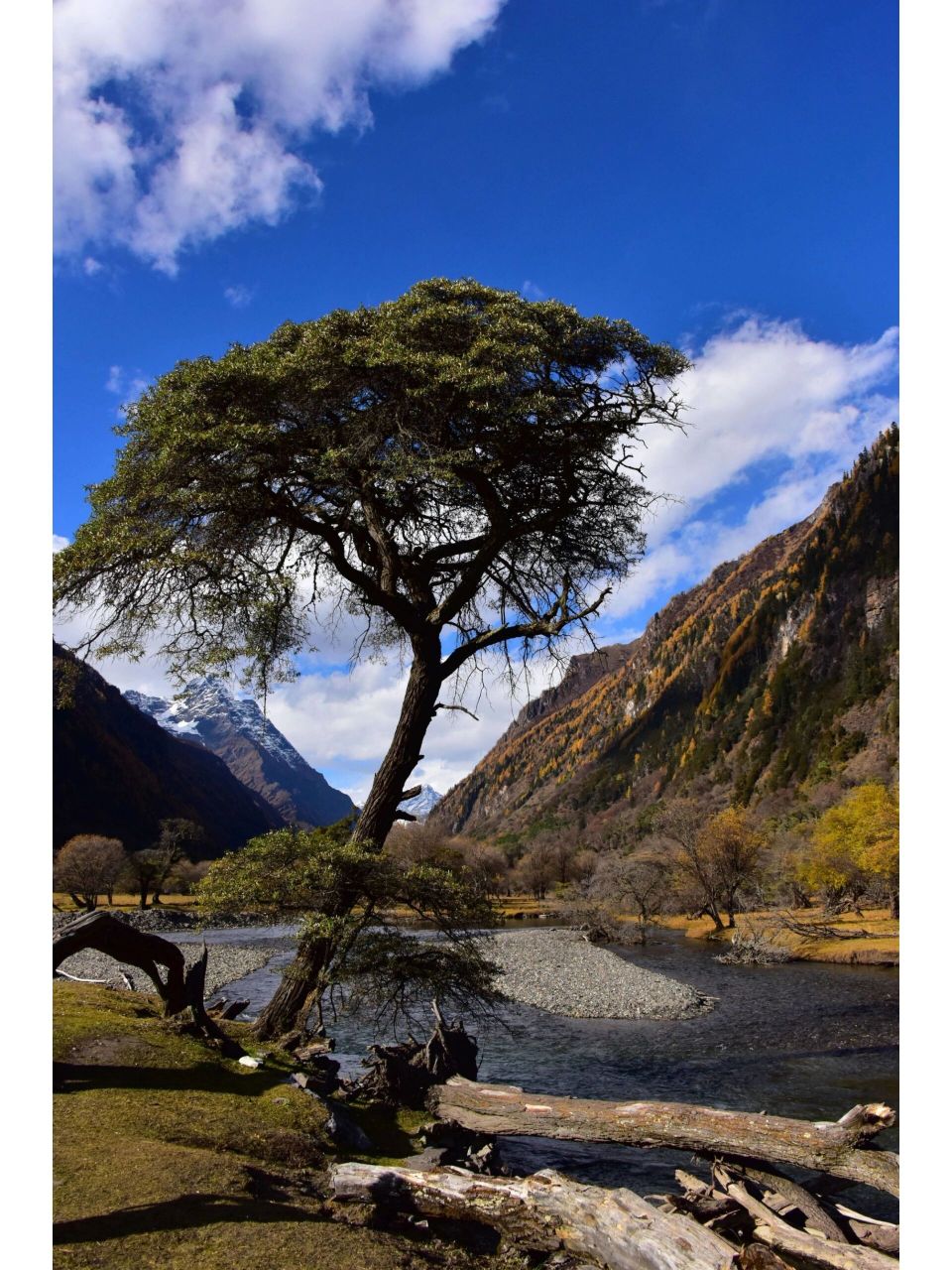 位于四川阿坝藏族羌族自治州小金县境内,四姑娘山景区由双桥沟,长坪沟
