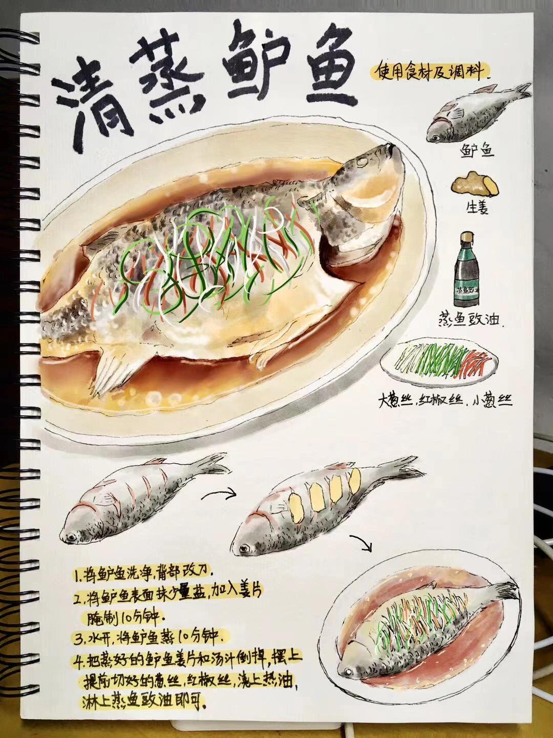 手绘食谱清蒸鲈鱼,吃得健康,身体健康