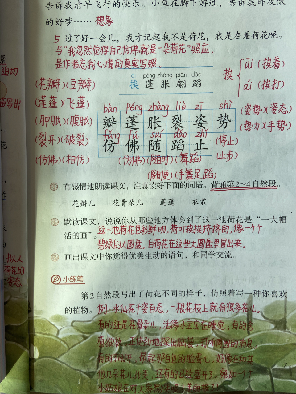 河花课文图片