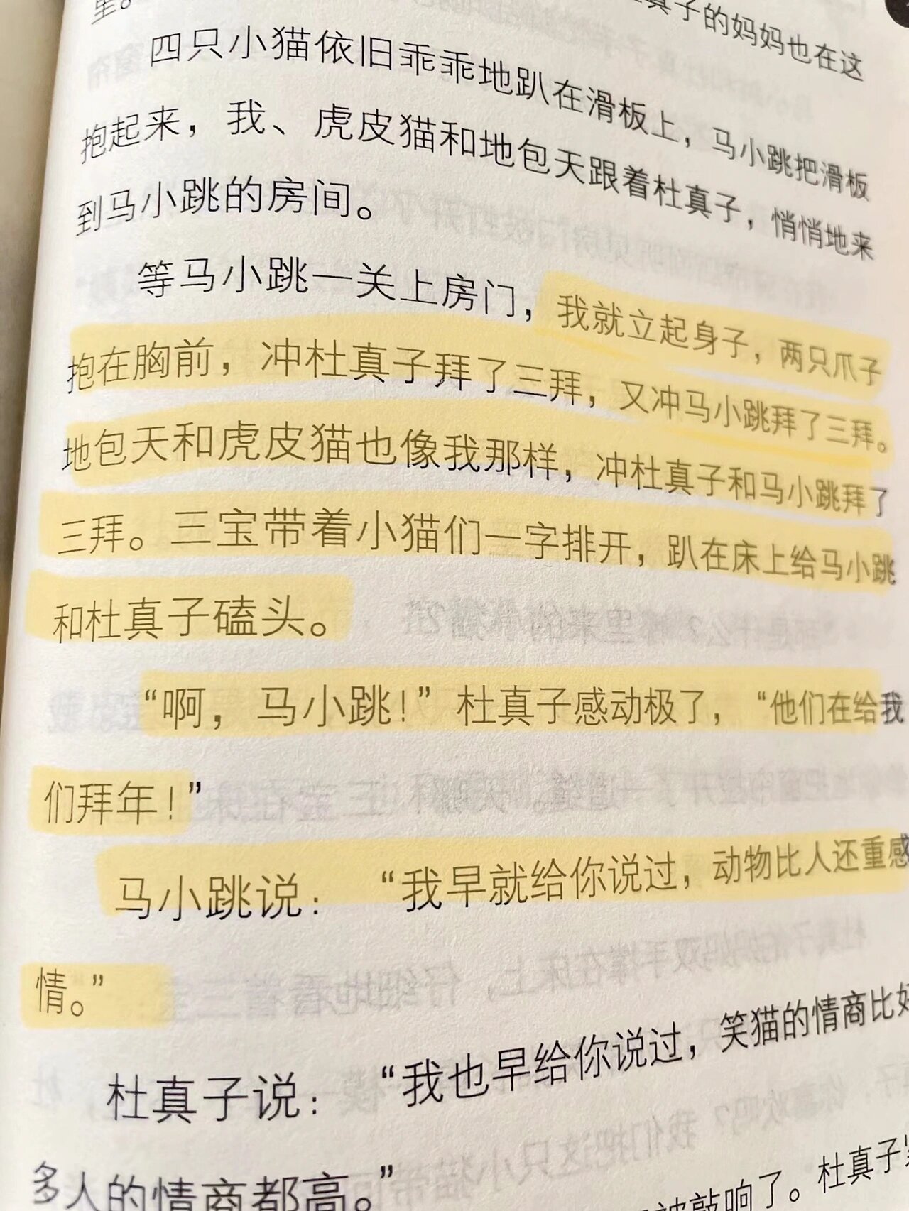 笑猫日记虎皮猫生孩子图片