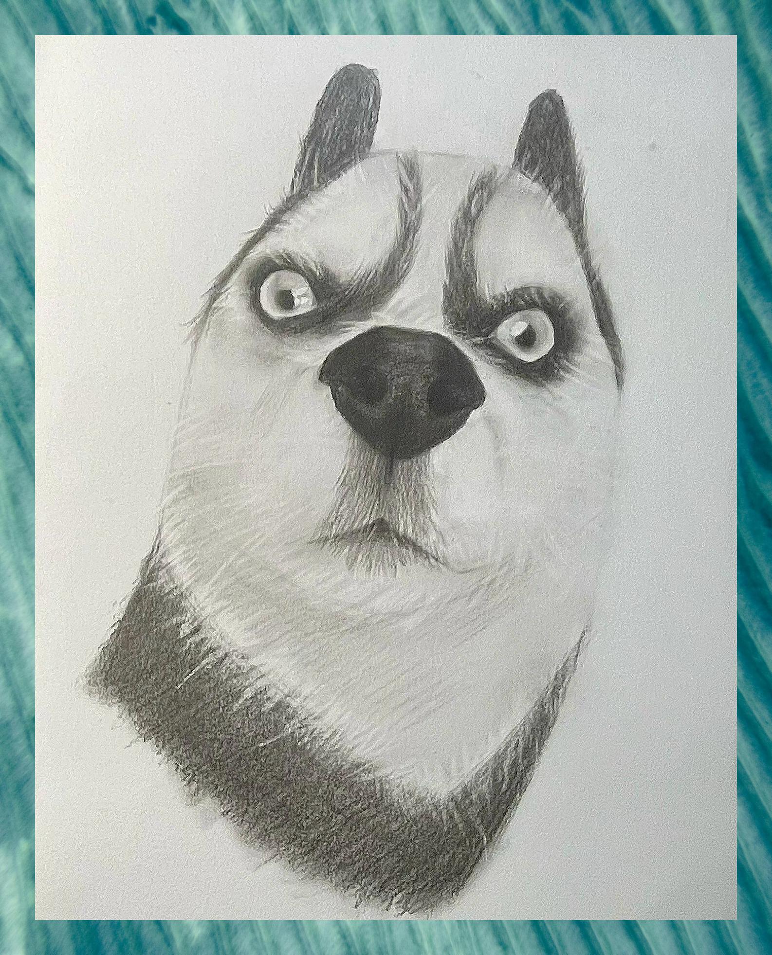二哈趣味惊讶 素描表情包