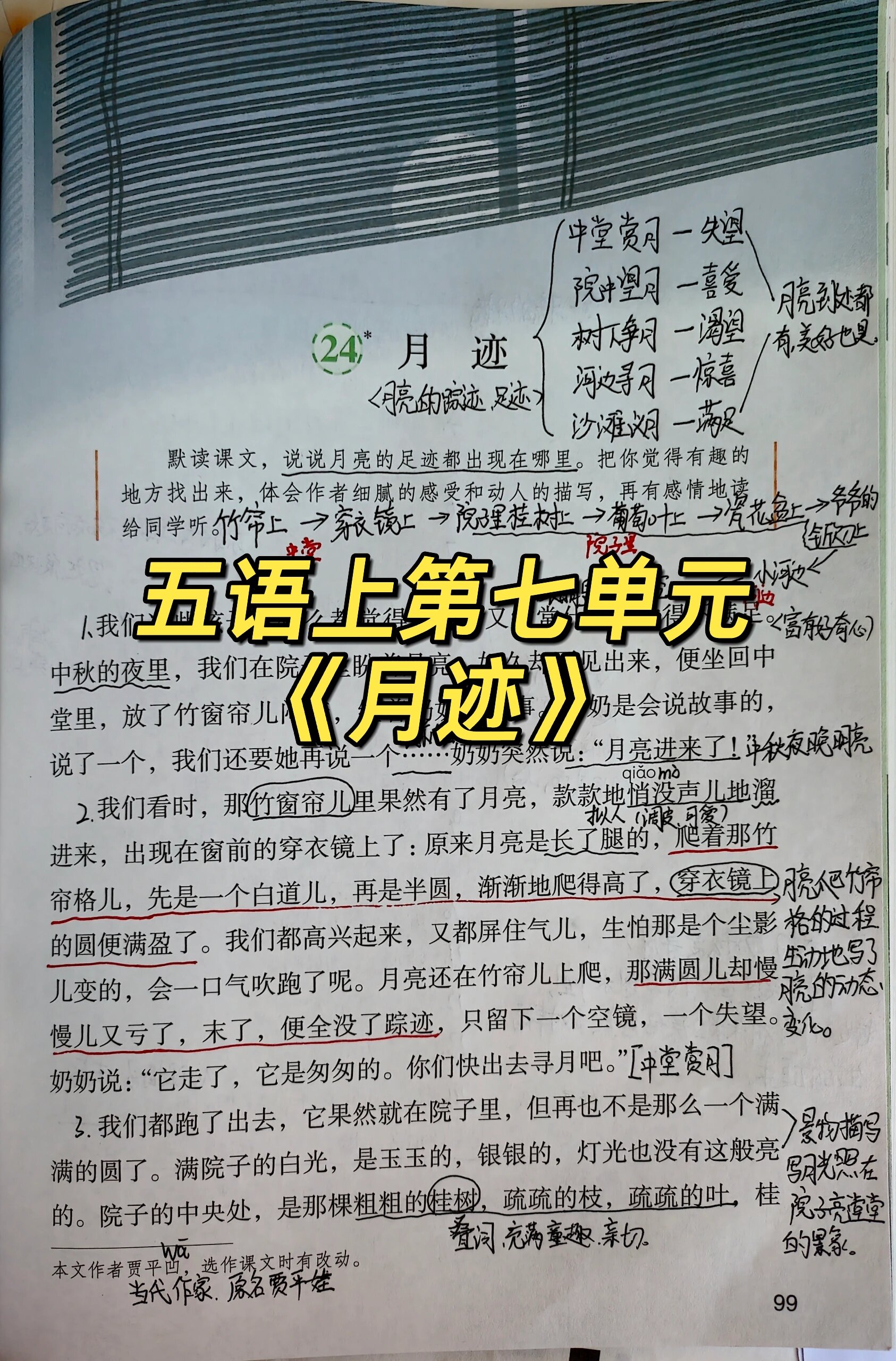 五年级语上第24课《月迹》课堂笔记