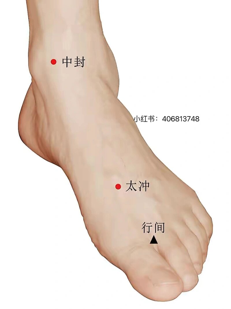 曲泉准确位置图和作用图片