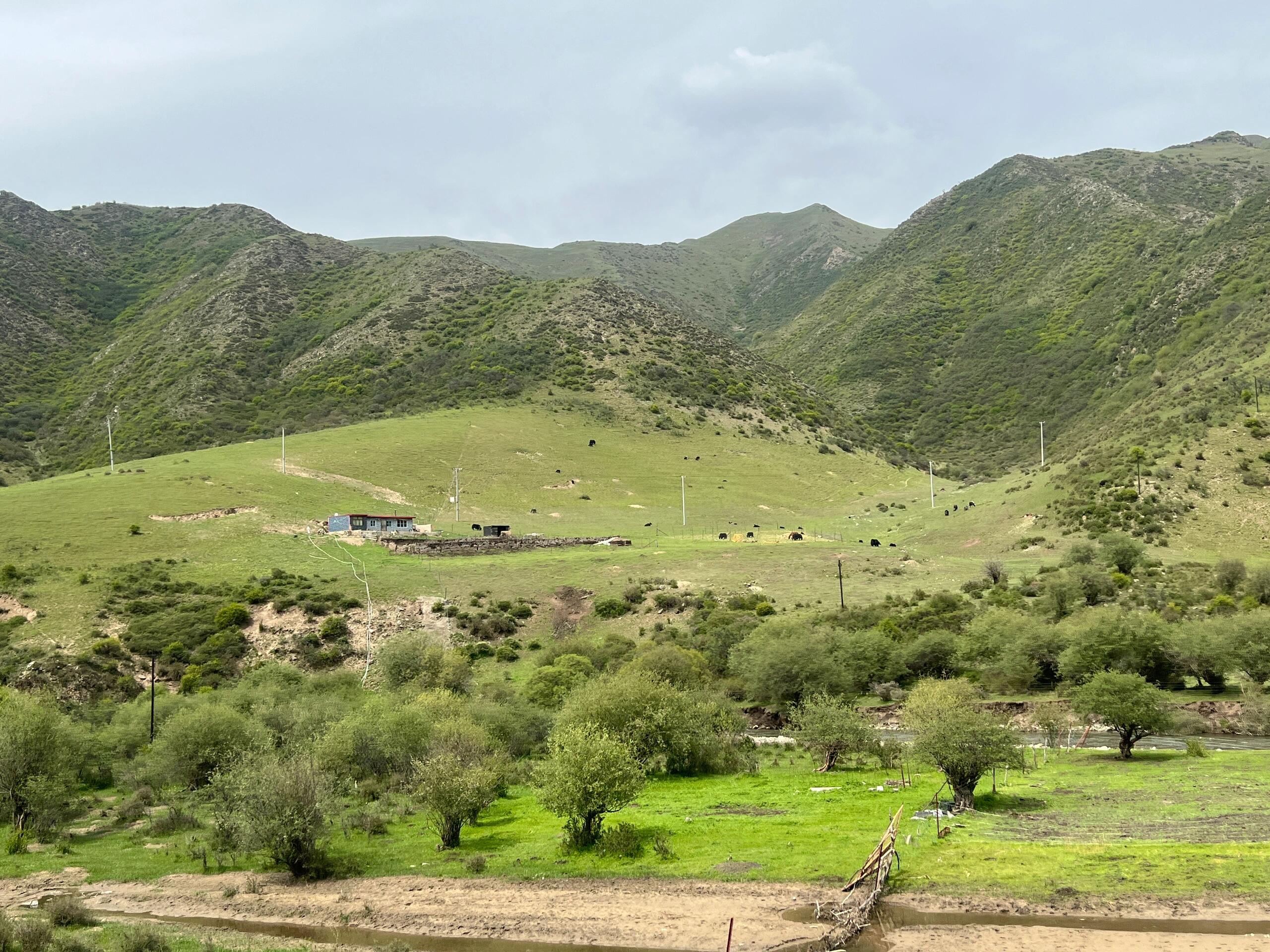 自驾游第四站:桑科草原 尕海湖 316国道