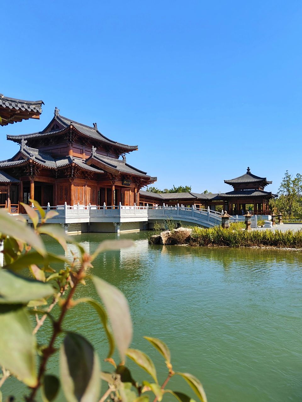 开车一个半小时‖北京周边雄安悦容公园 免费的就是最棒哒 推荐指数