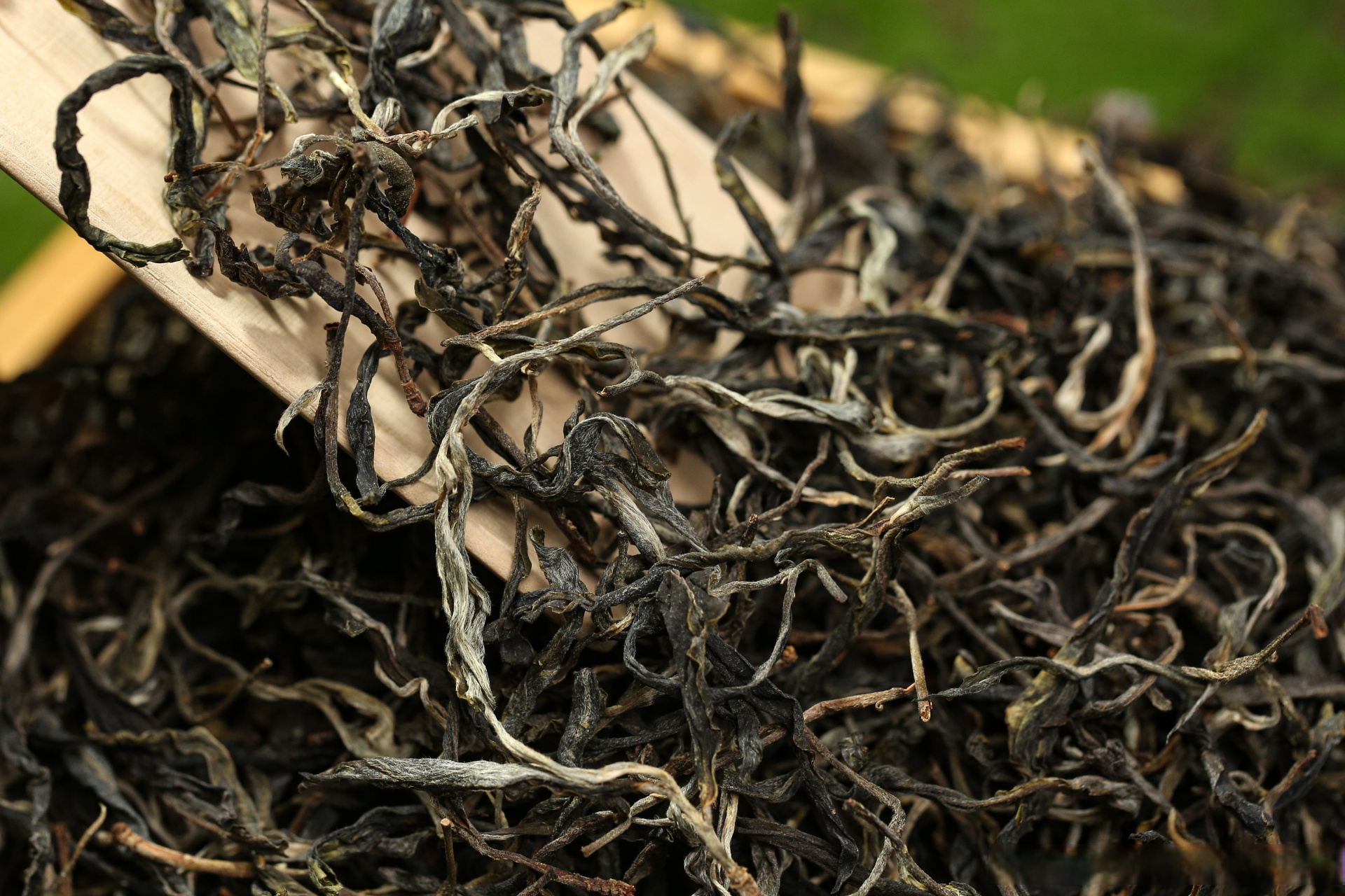 易武茶多阴柔,但落水洞别具风味 干茶条索清晰,呈黑灰色白毫显露 口感