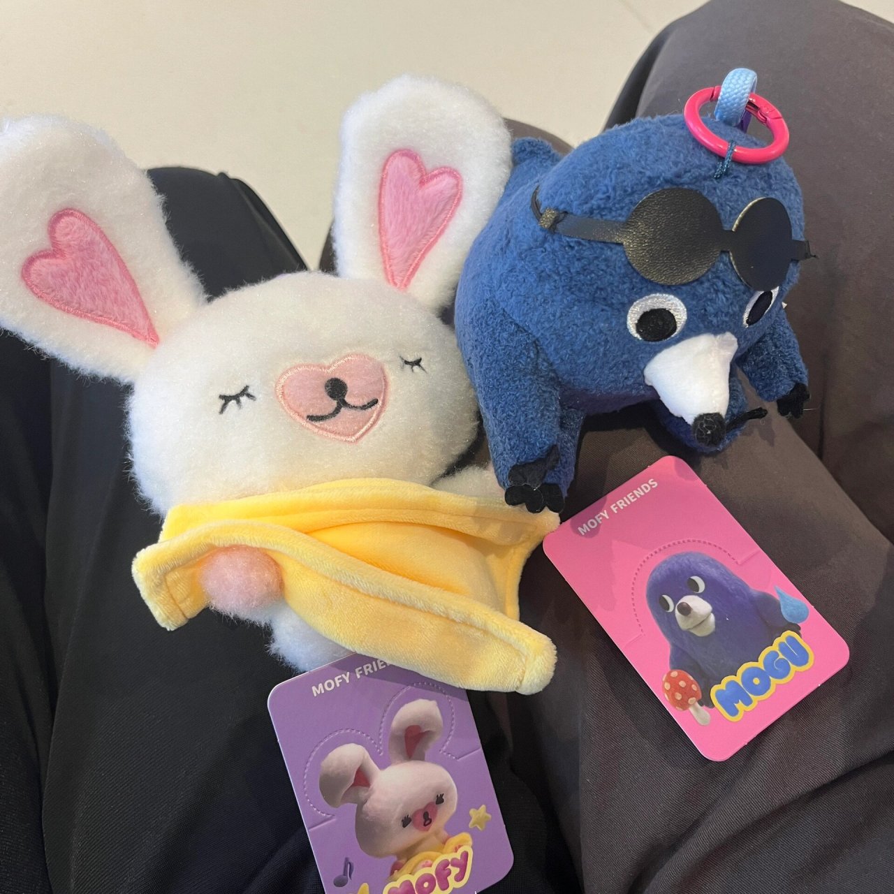 今天去kkv抽盲盒了 我买了一个棉花小兔的和一个线条小狗的 抽到了