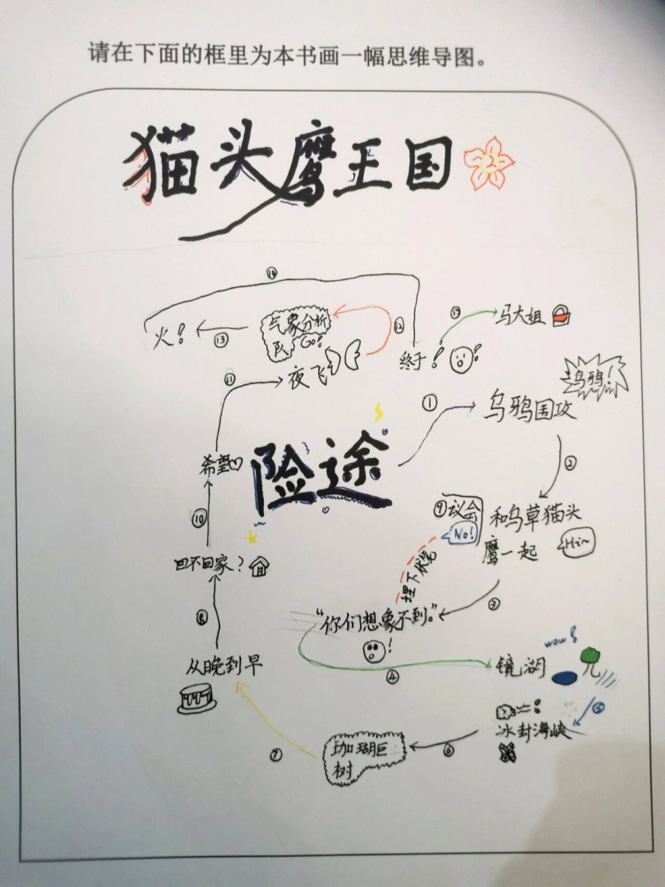 猫头鹰介绍简单图片