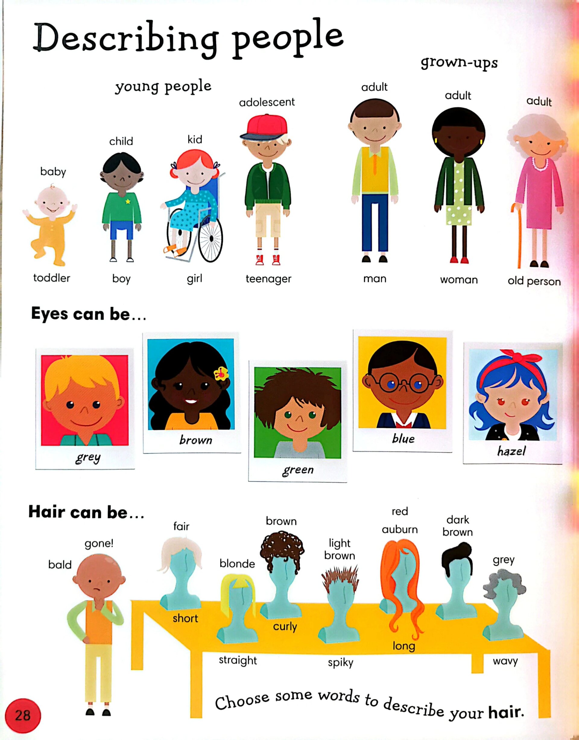 每天学单词 描述人物的n个单词