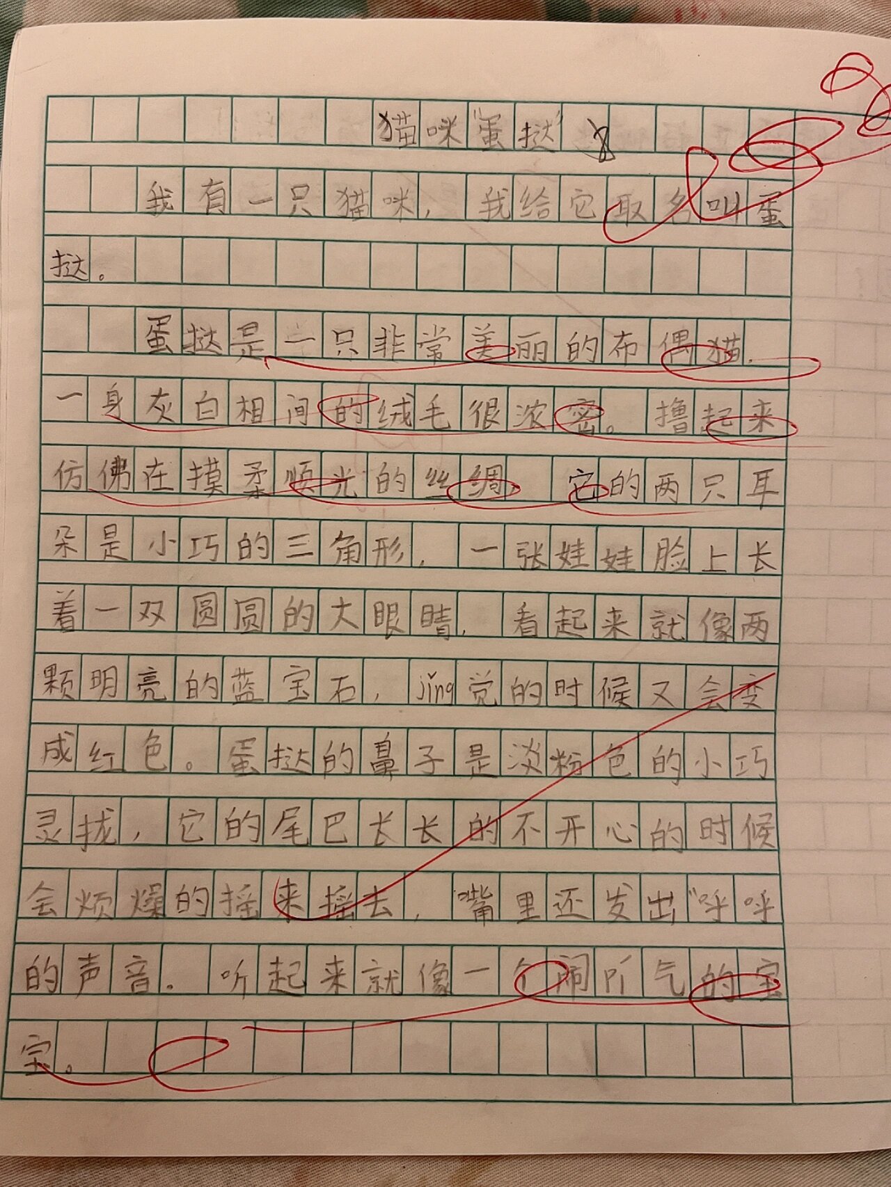 三年级第五单元作文生活中的观察小动物篇 三年级第五单元作文 生活中