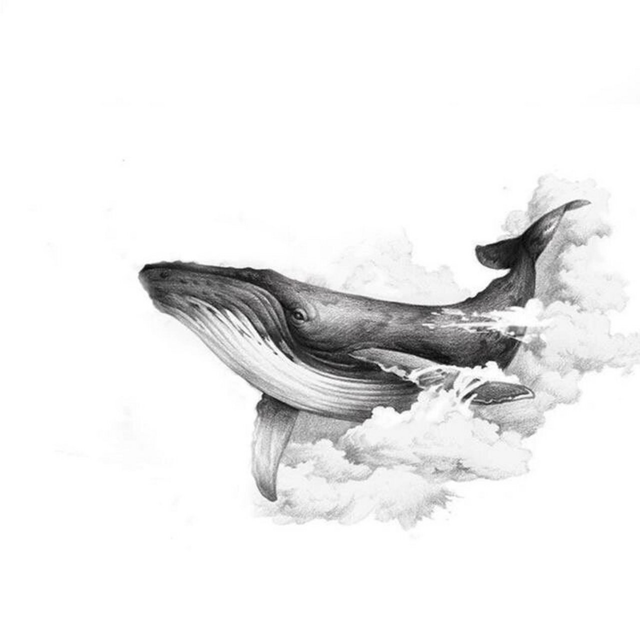 鲸鱼纹身手稿 线条图片