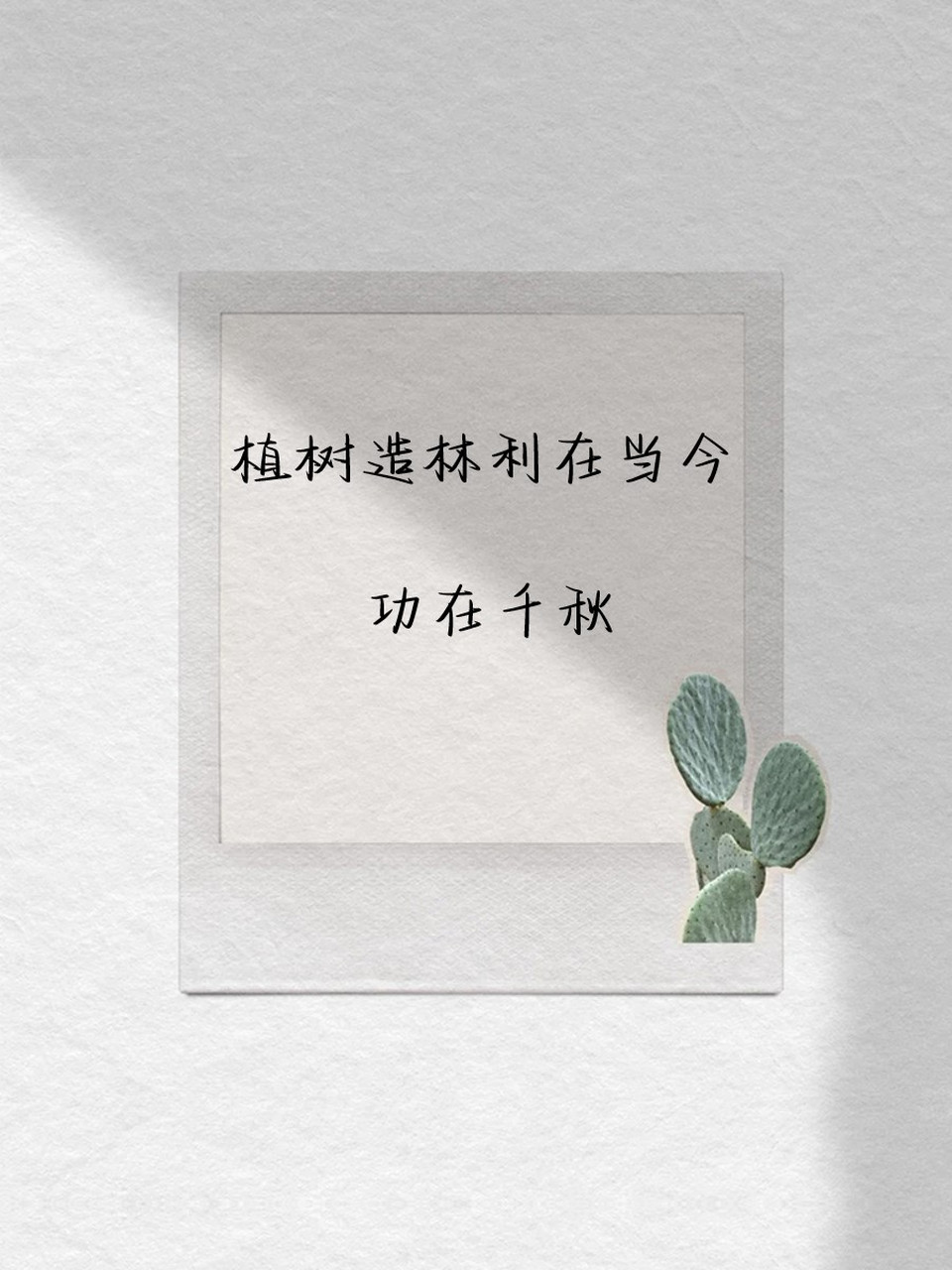 植树标语世世代代图片