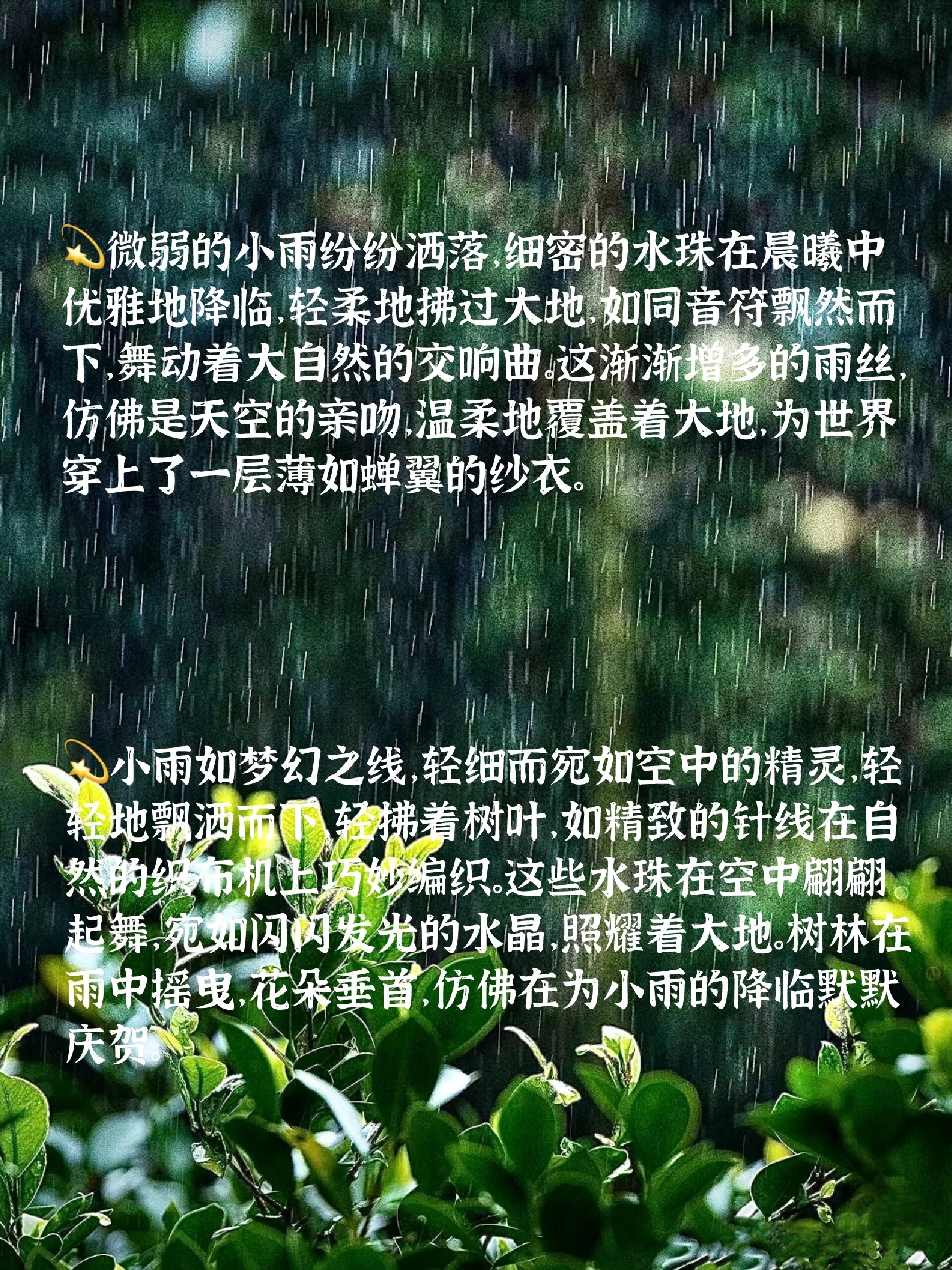 惊艳语文老师的小雨景色描写 哈喽 这里是落日读书