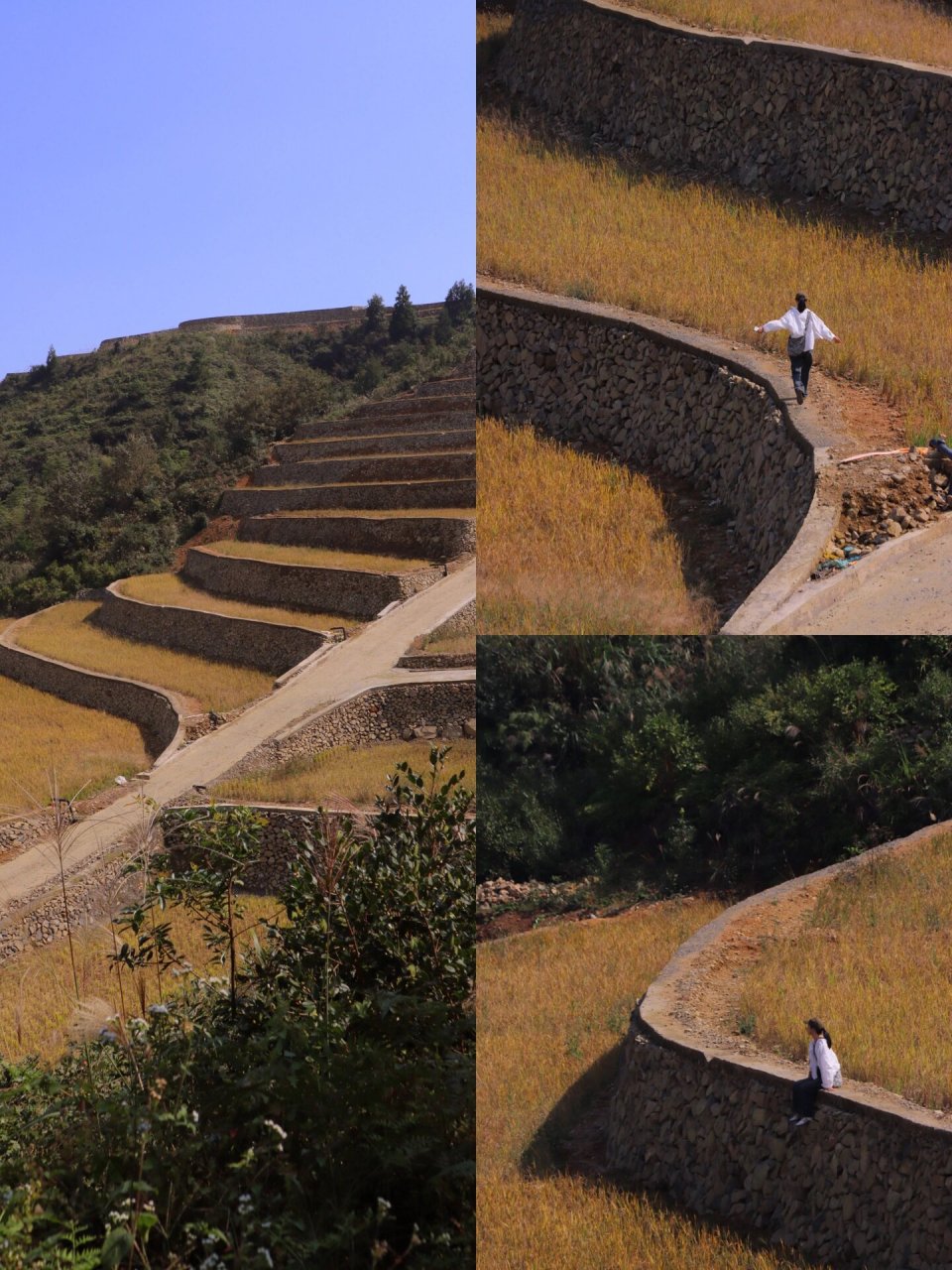 平阳满田森林公园门票图片