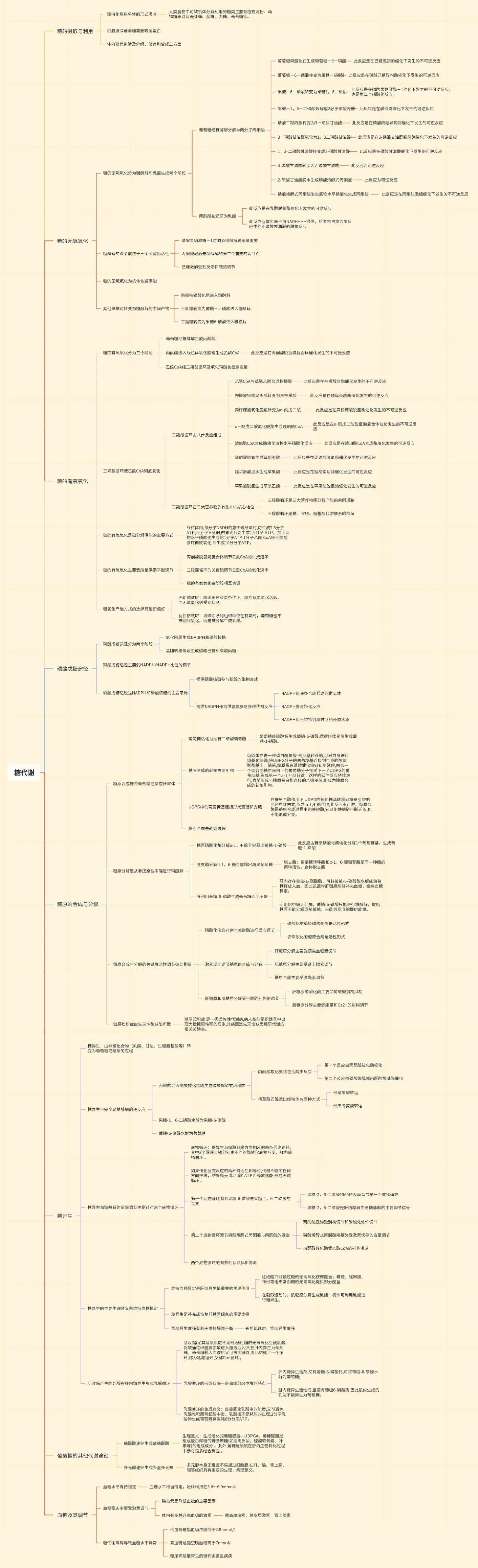 生化糖代谢思维导图