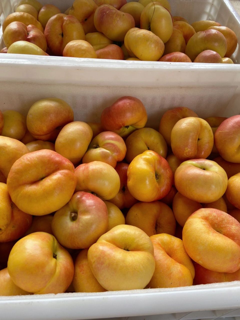 一些关于黄油蟠桃618的说明~ 黄油蟠桃六月20左右开始成熟,马上迎来