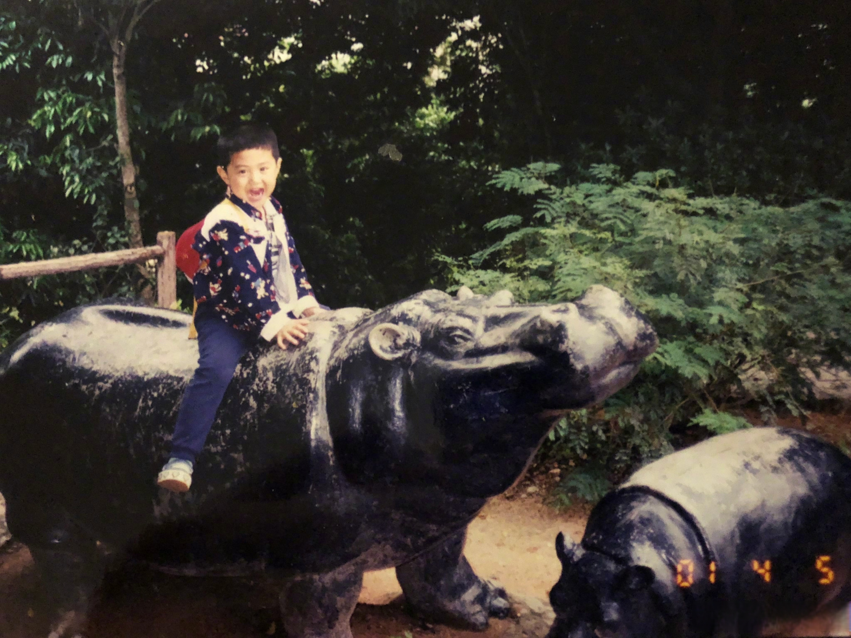 陈哲远的童年照 从呆萌乖宝到拽酷帅哥,初心从未改变!